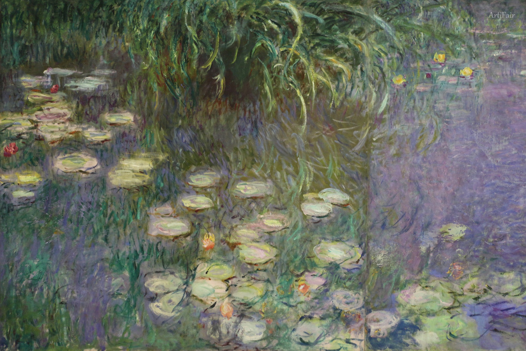 Water Lilies