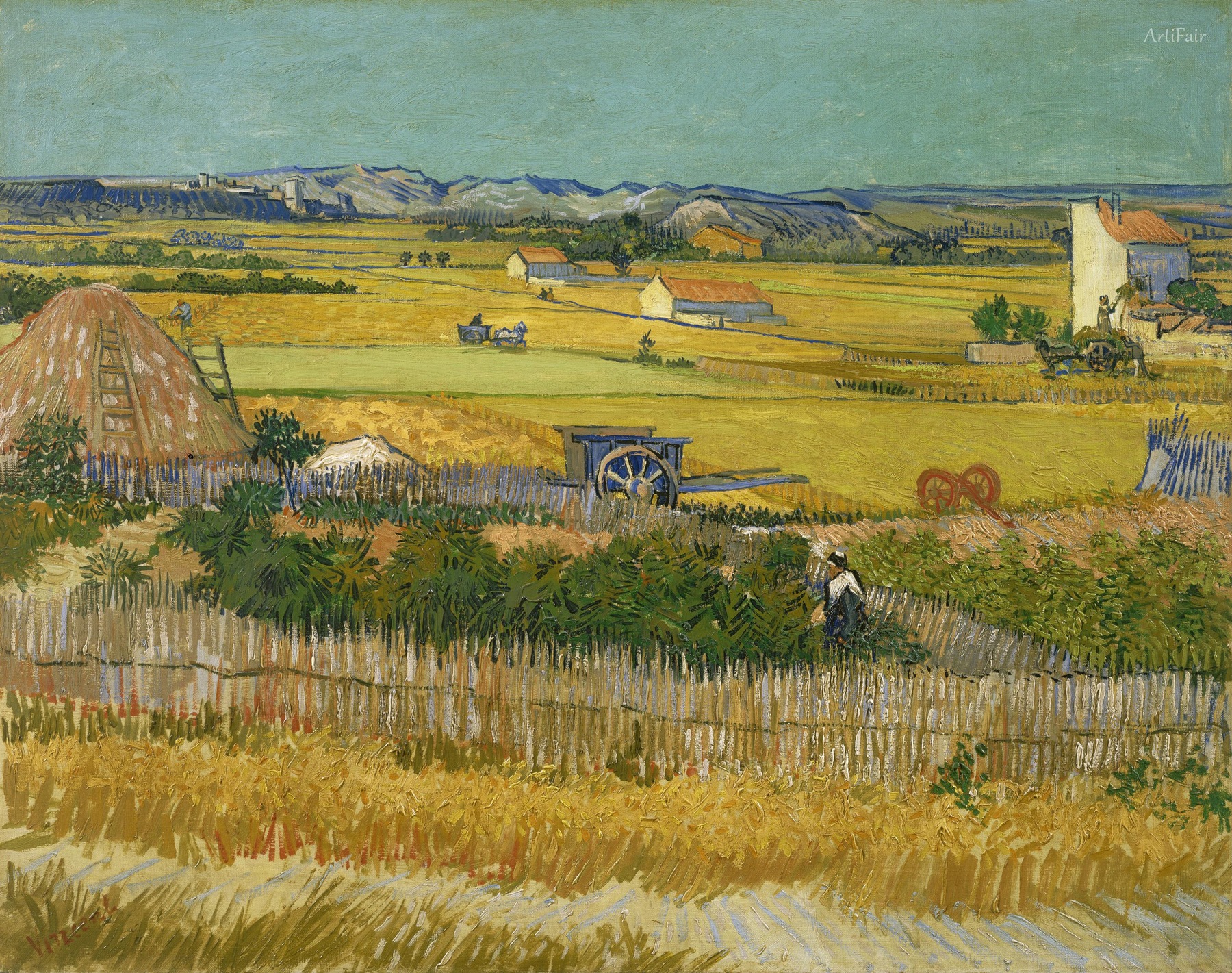 The harvest