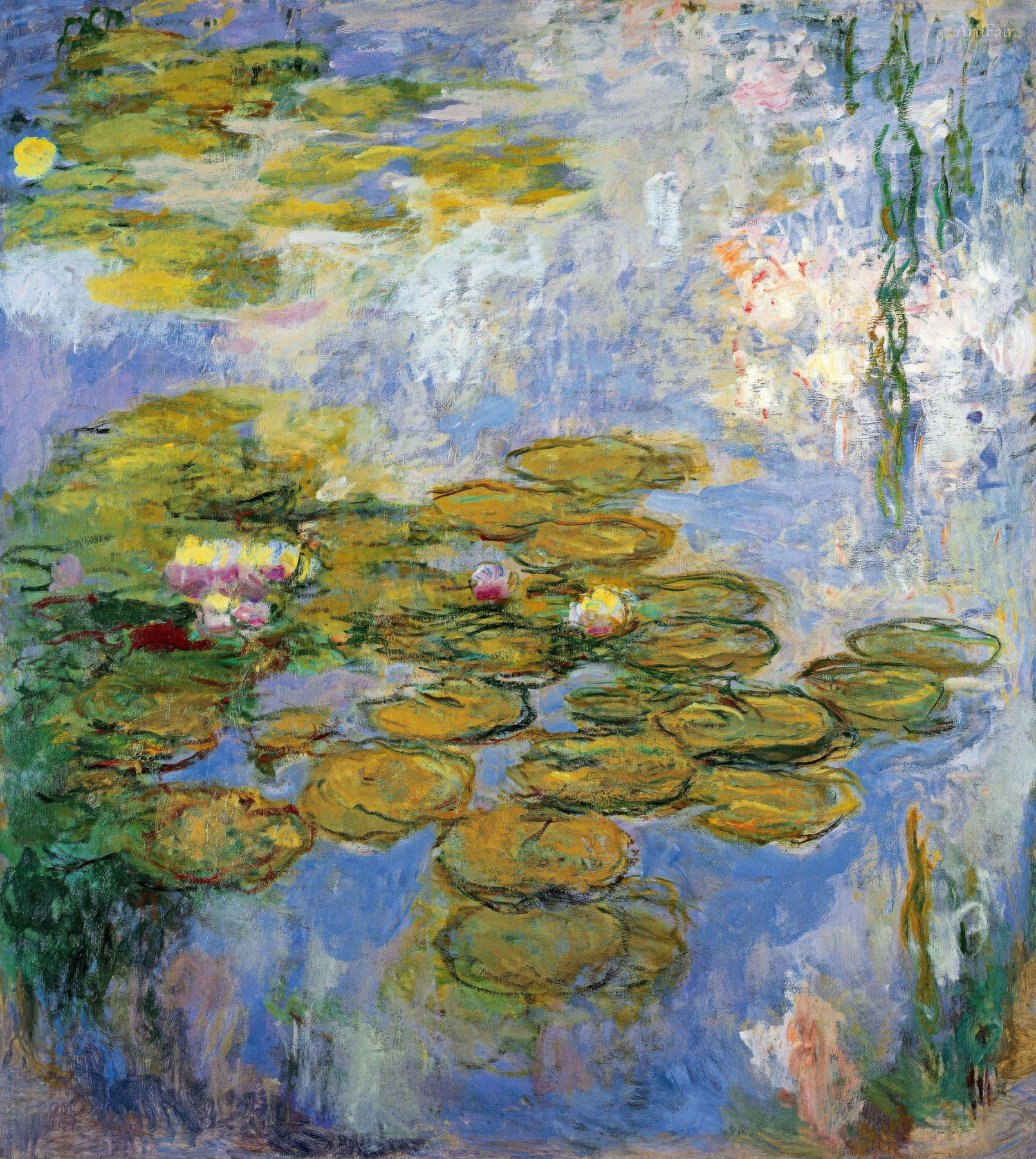 Water Lilies