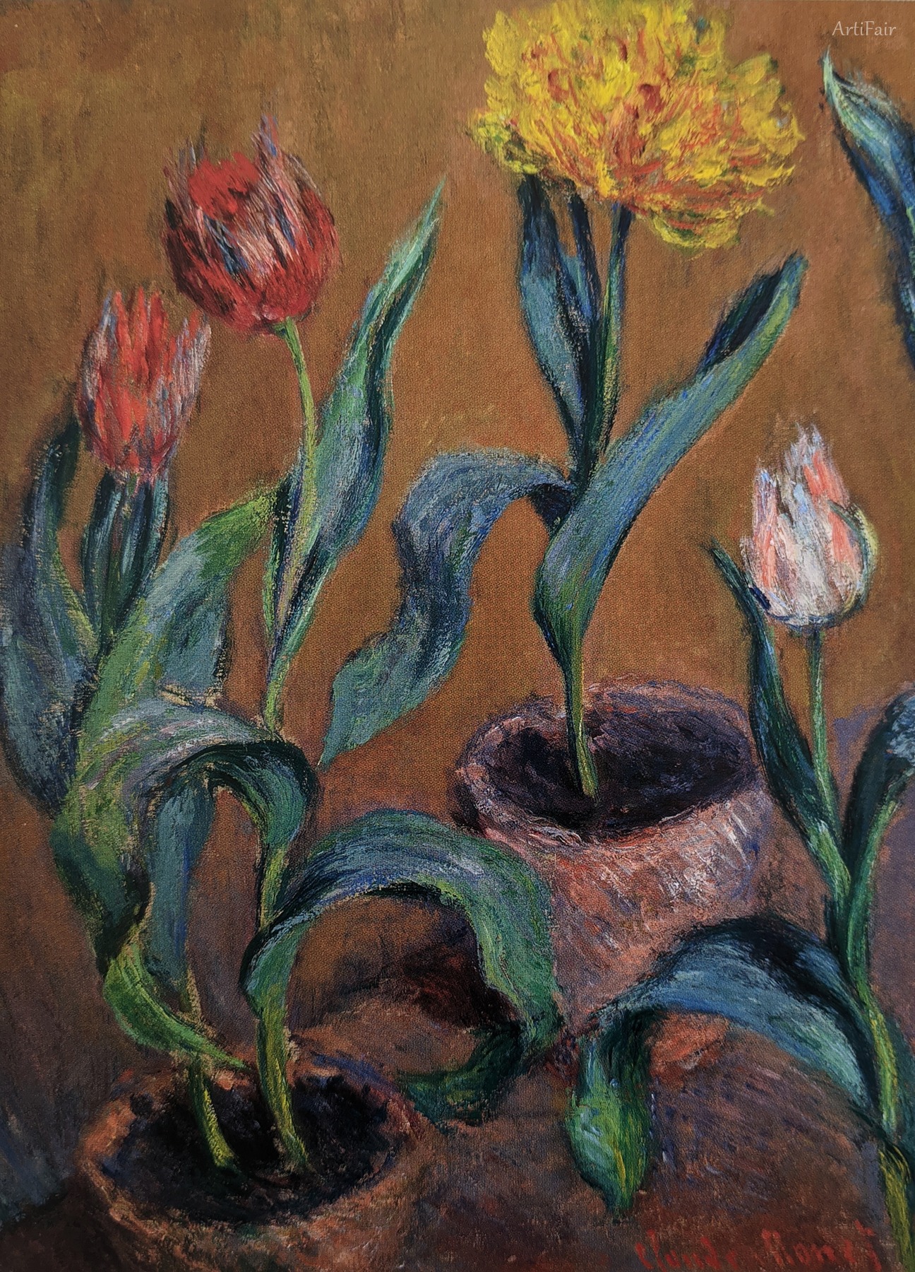 Pots of Tulips