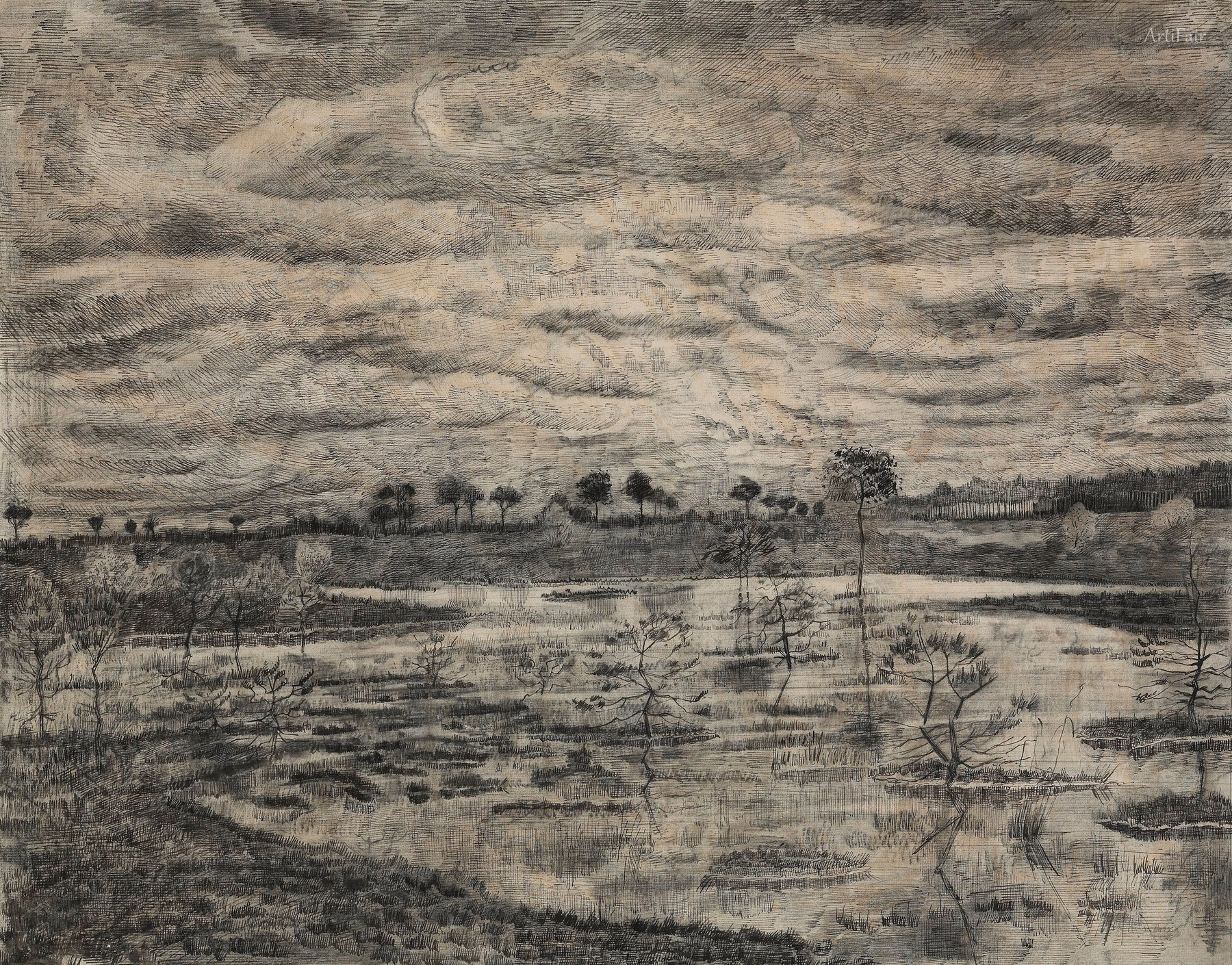 The Swamp