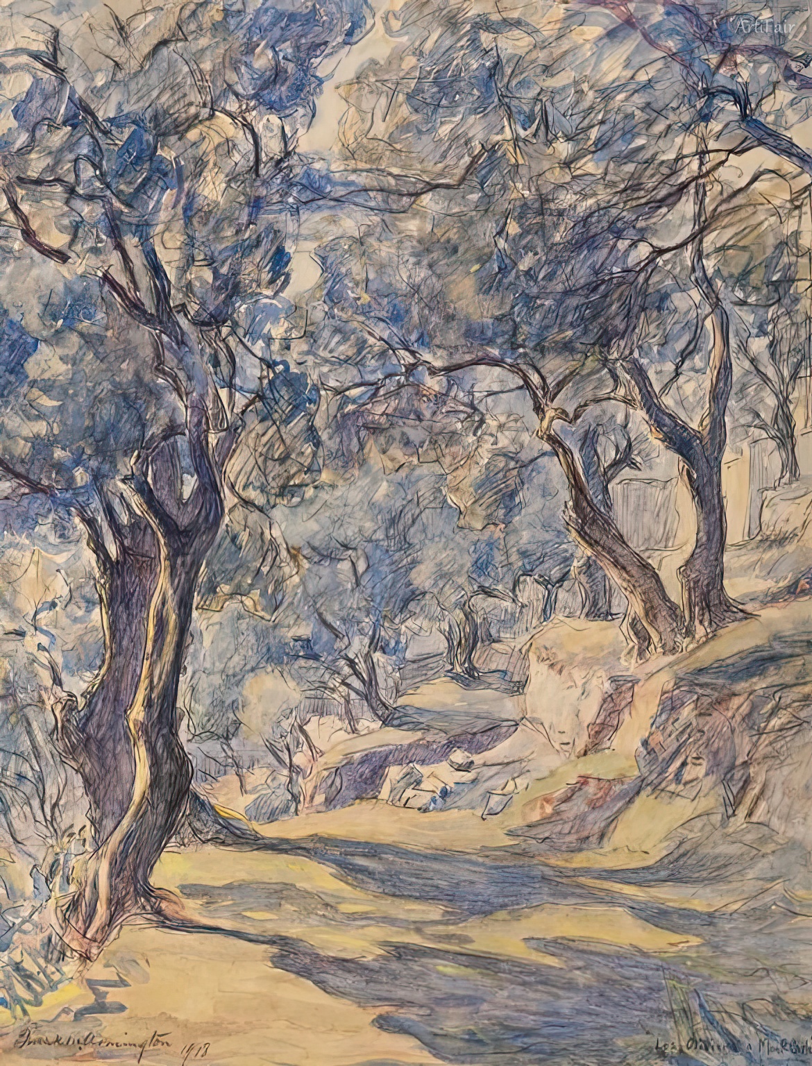 Olive Grove