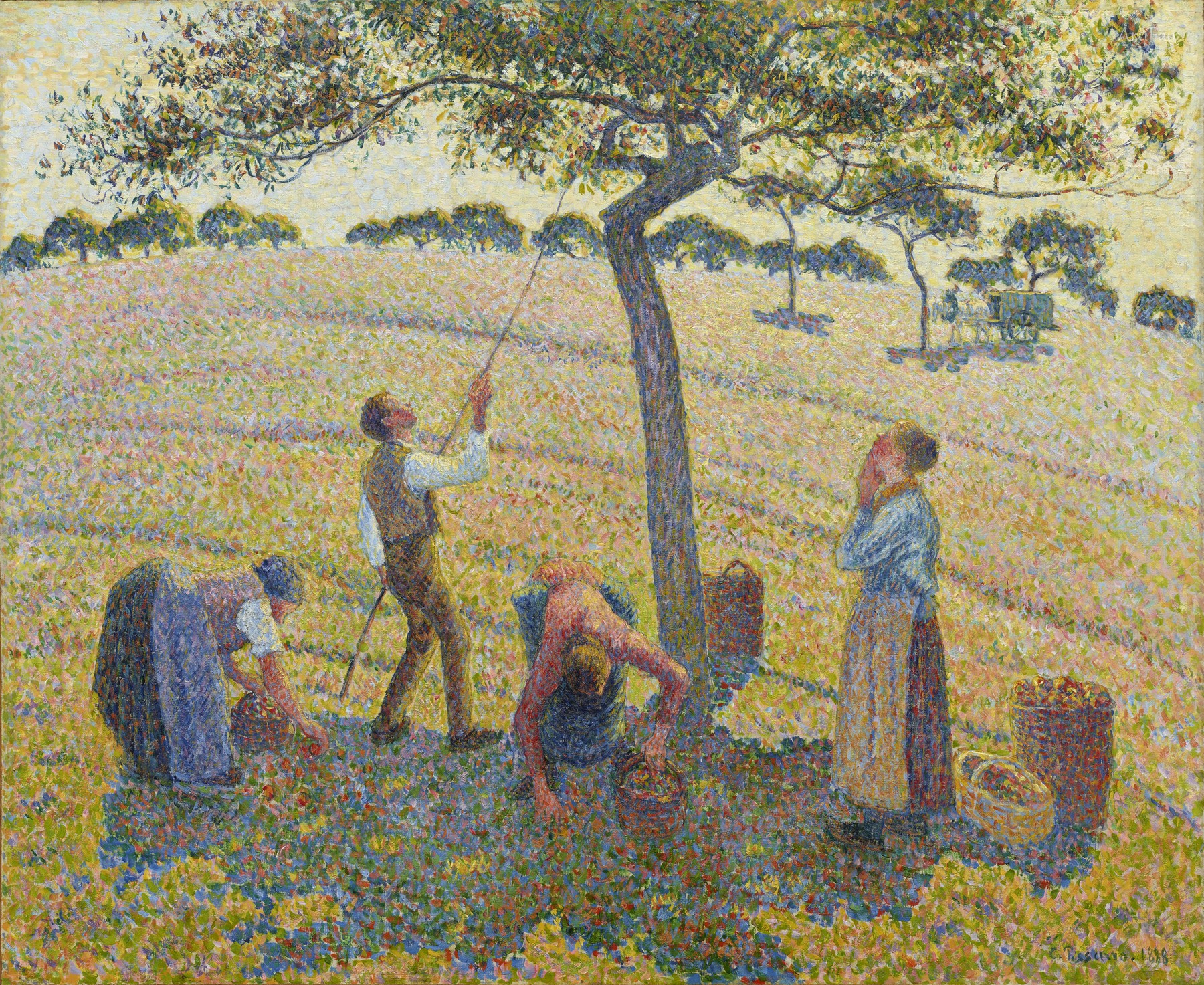 Apple Harvest 1888