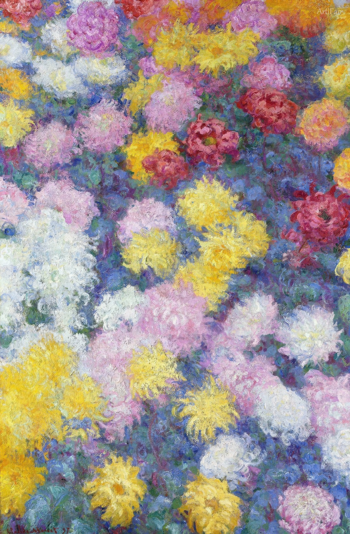 Chrysanthemums