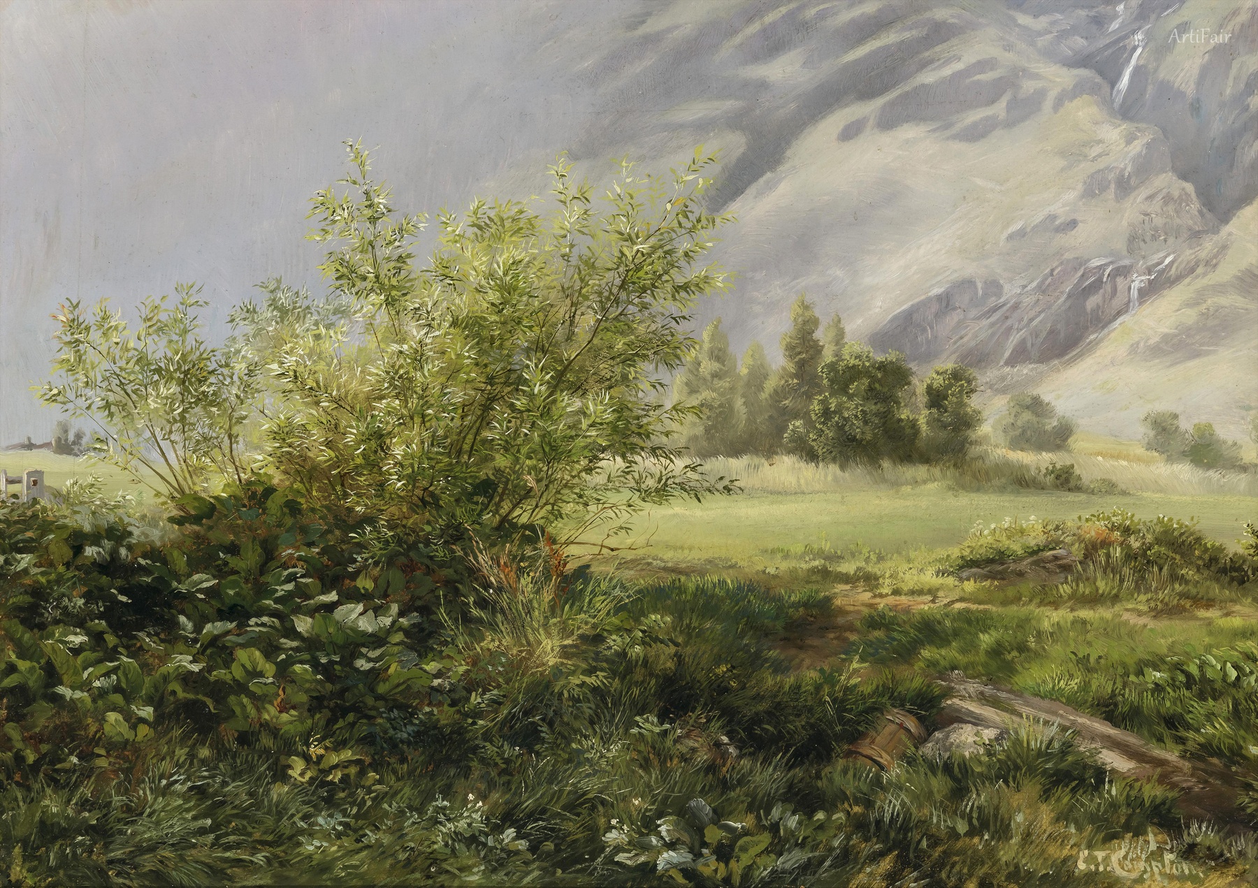 Summer Plateau in the Mountains