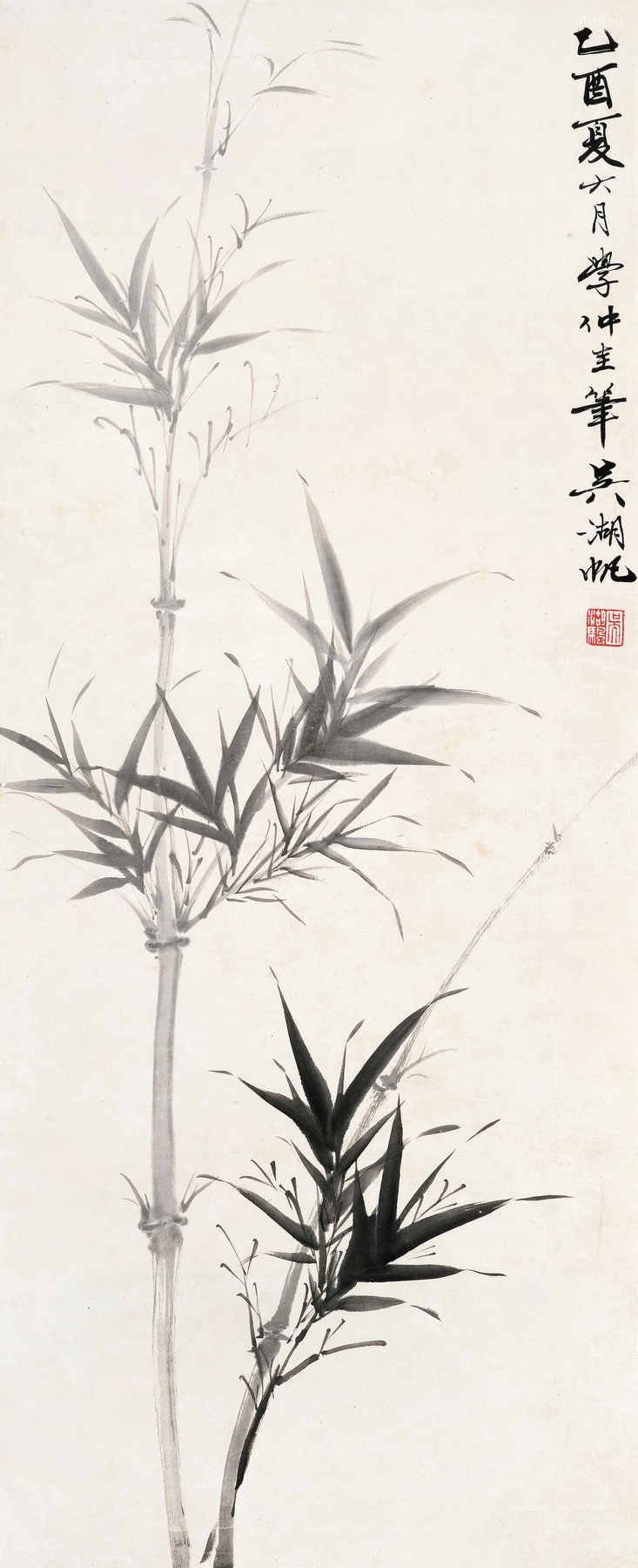 Bamboo