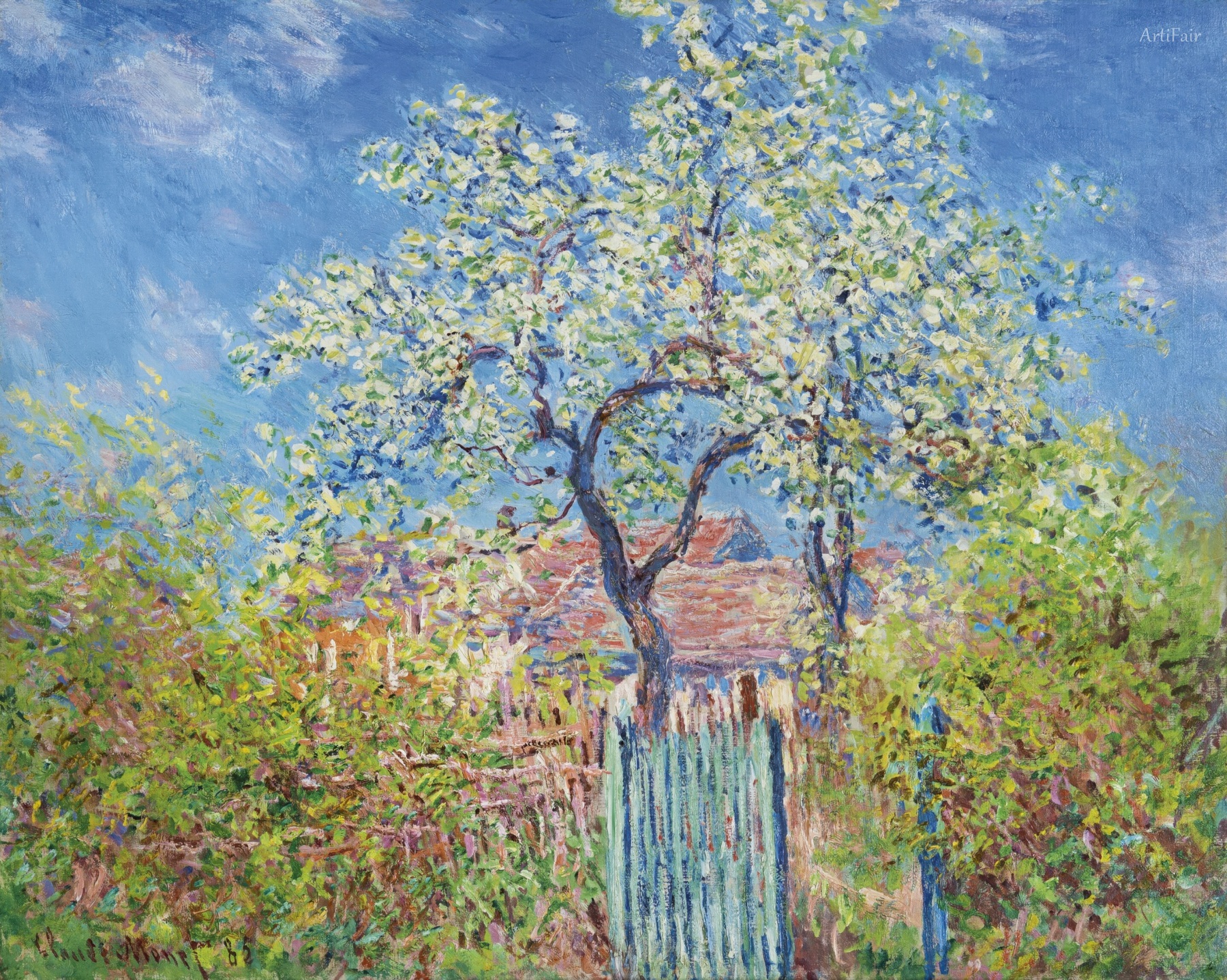 Pere in fiore