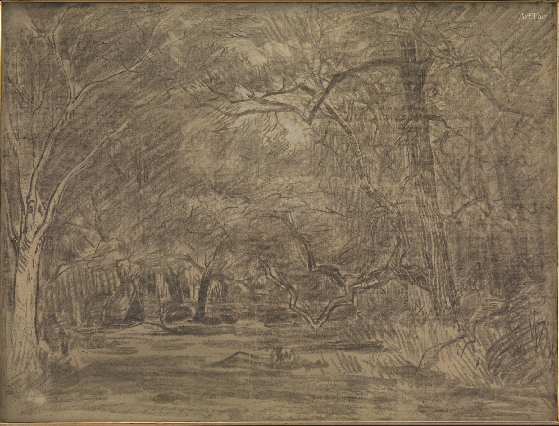 The Interior of a Forest