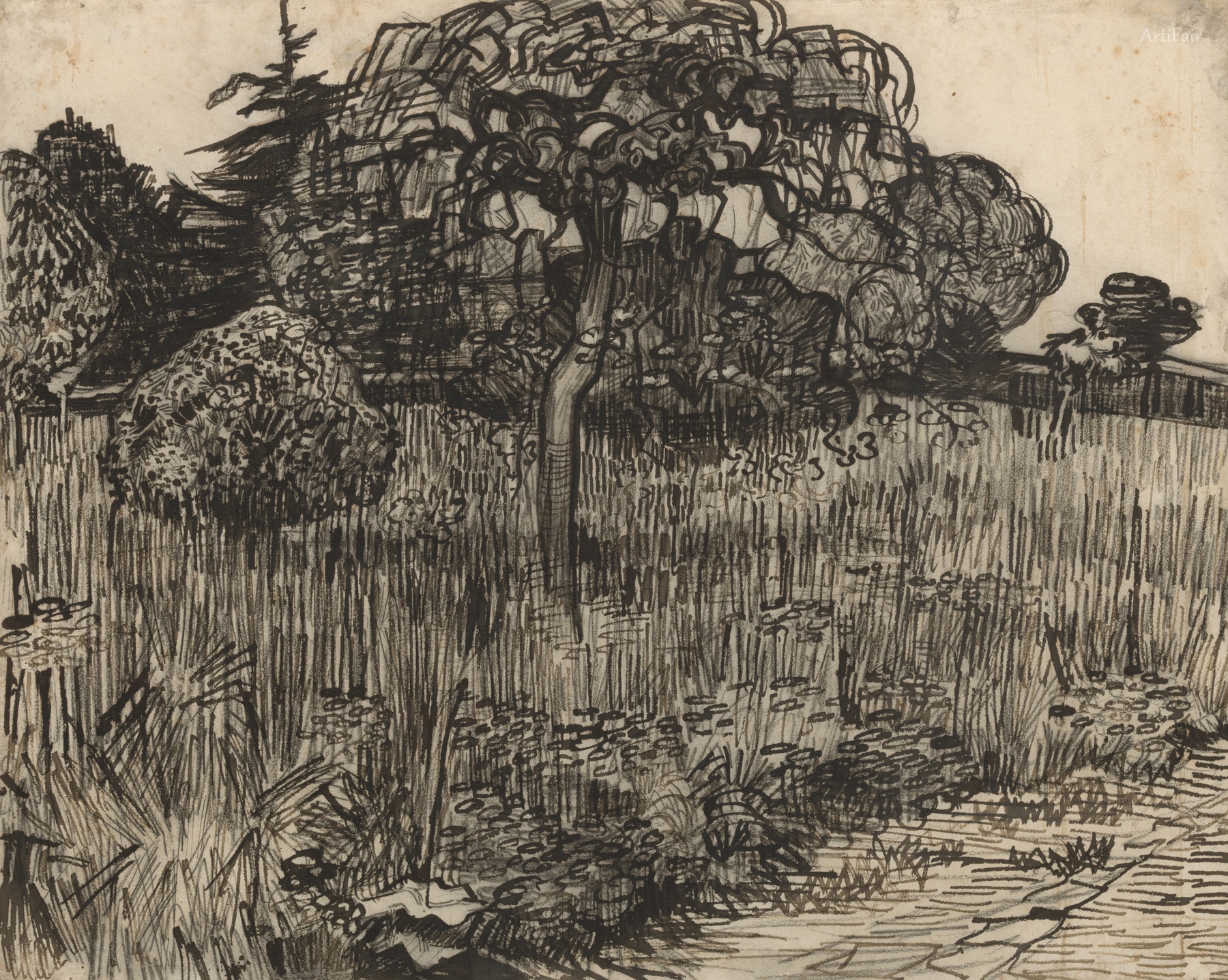 The Park at Arles