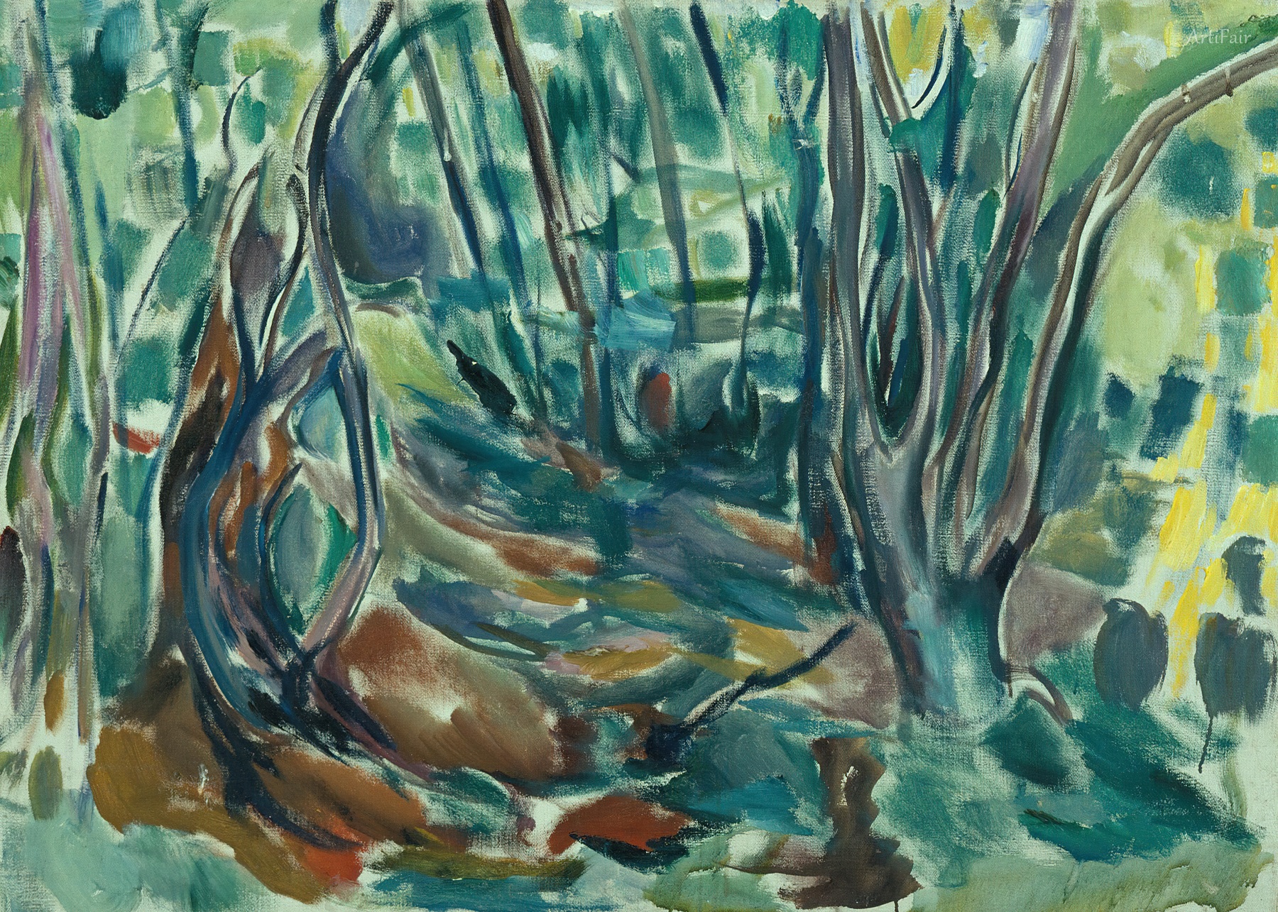 Elm Forest in Summer