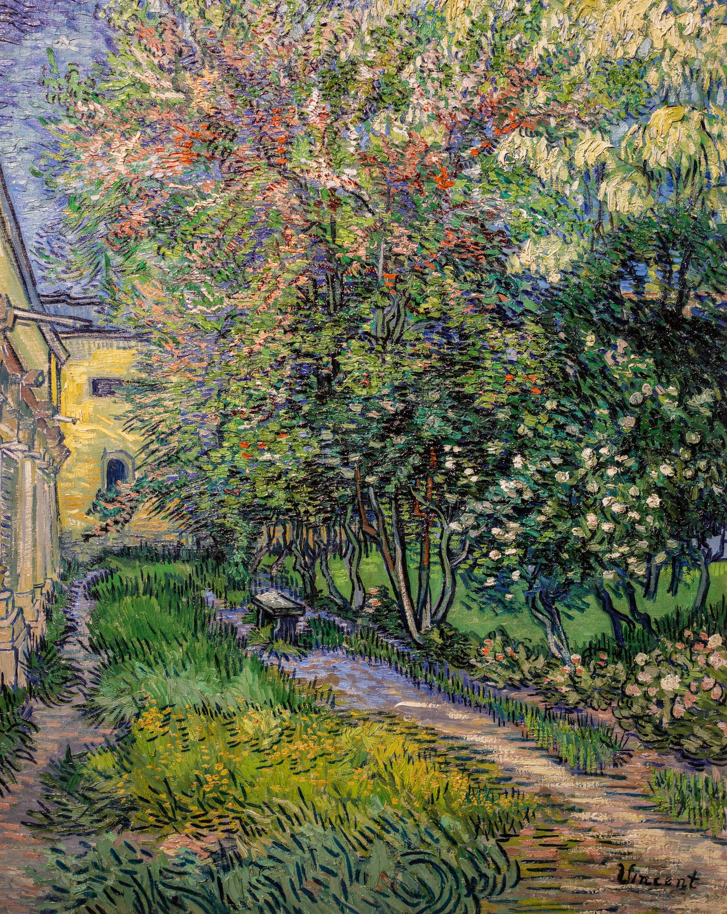 Zahrada v azylu v Saint-Rémy