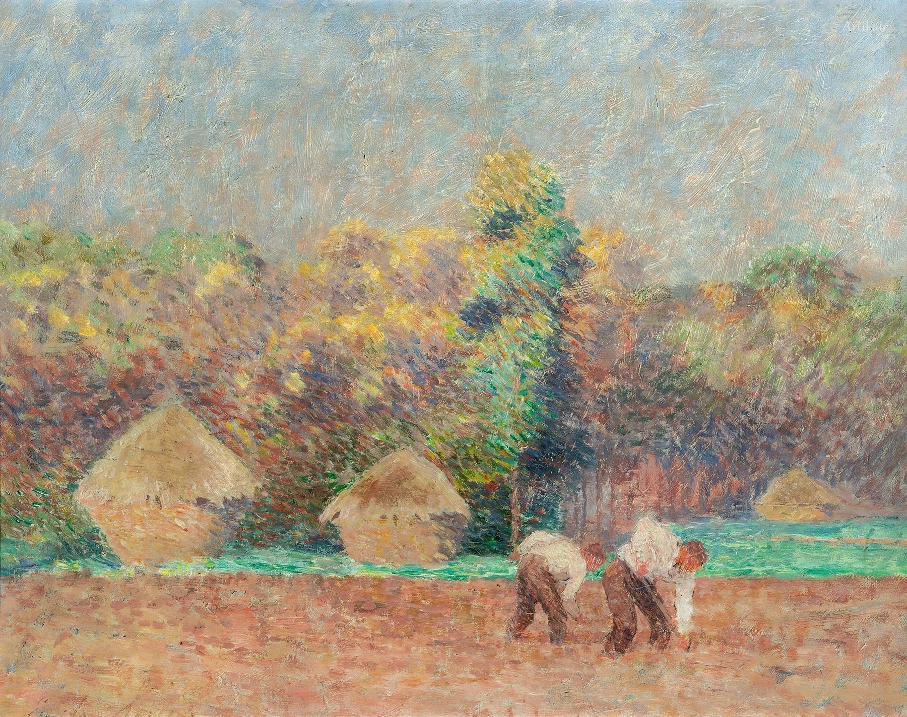 Praca na polu