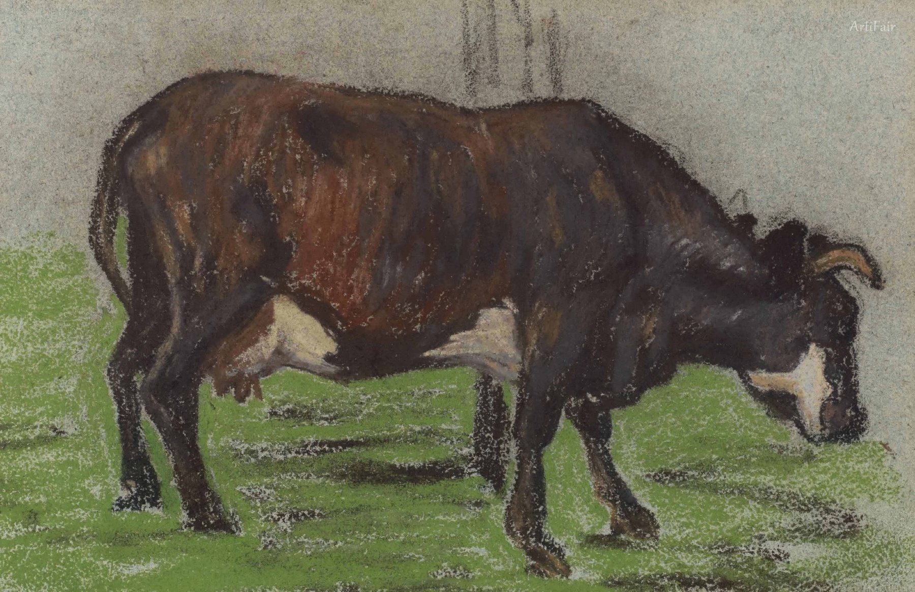 Cows Grazing