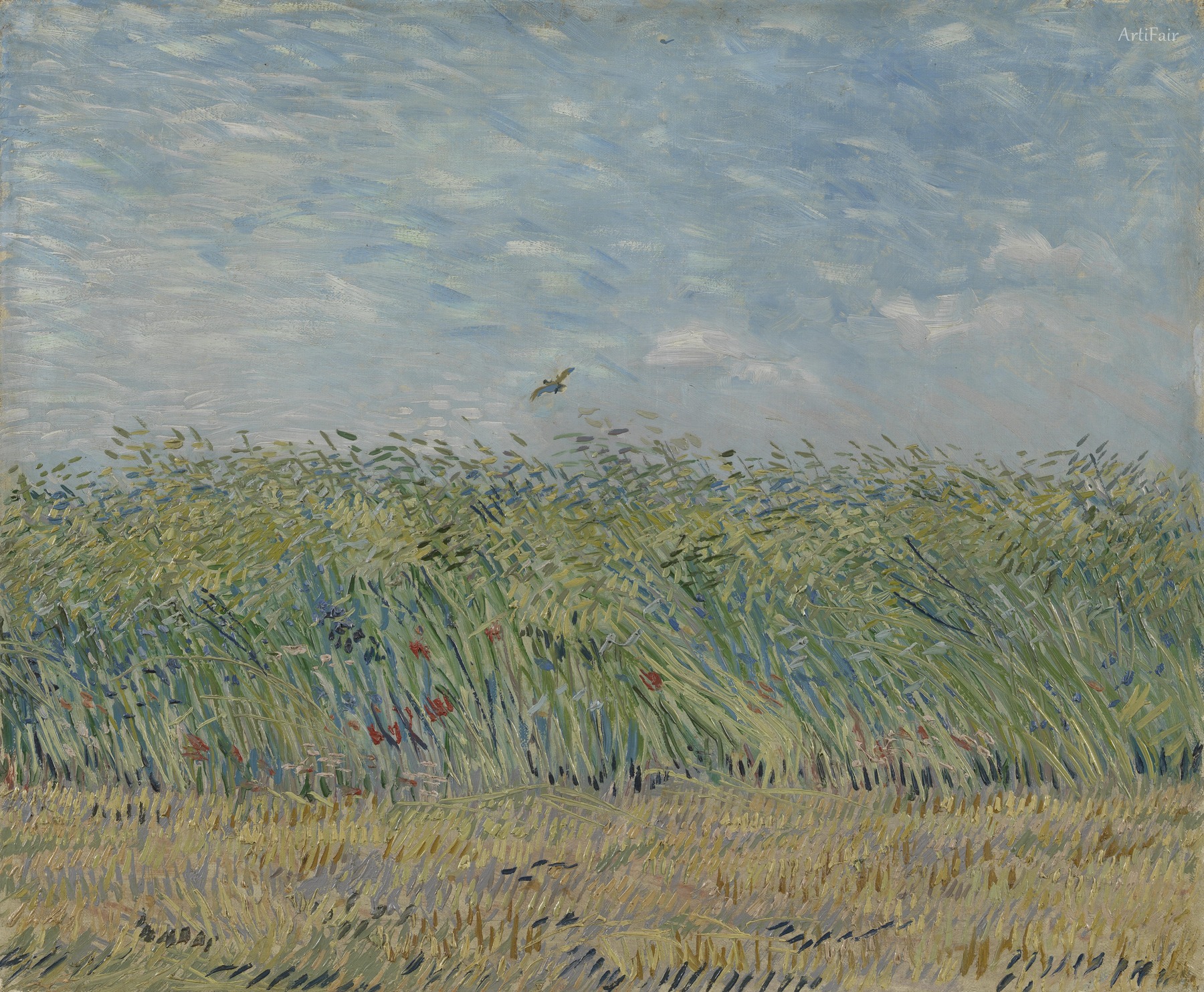 Wheatfield with Partridge