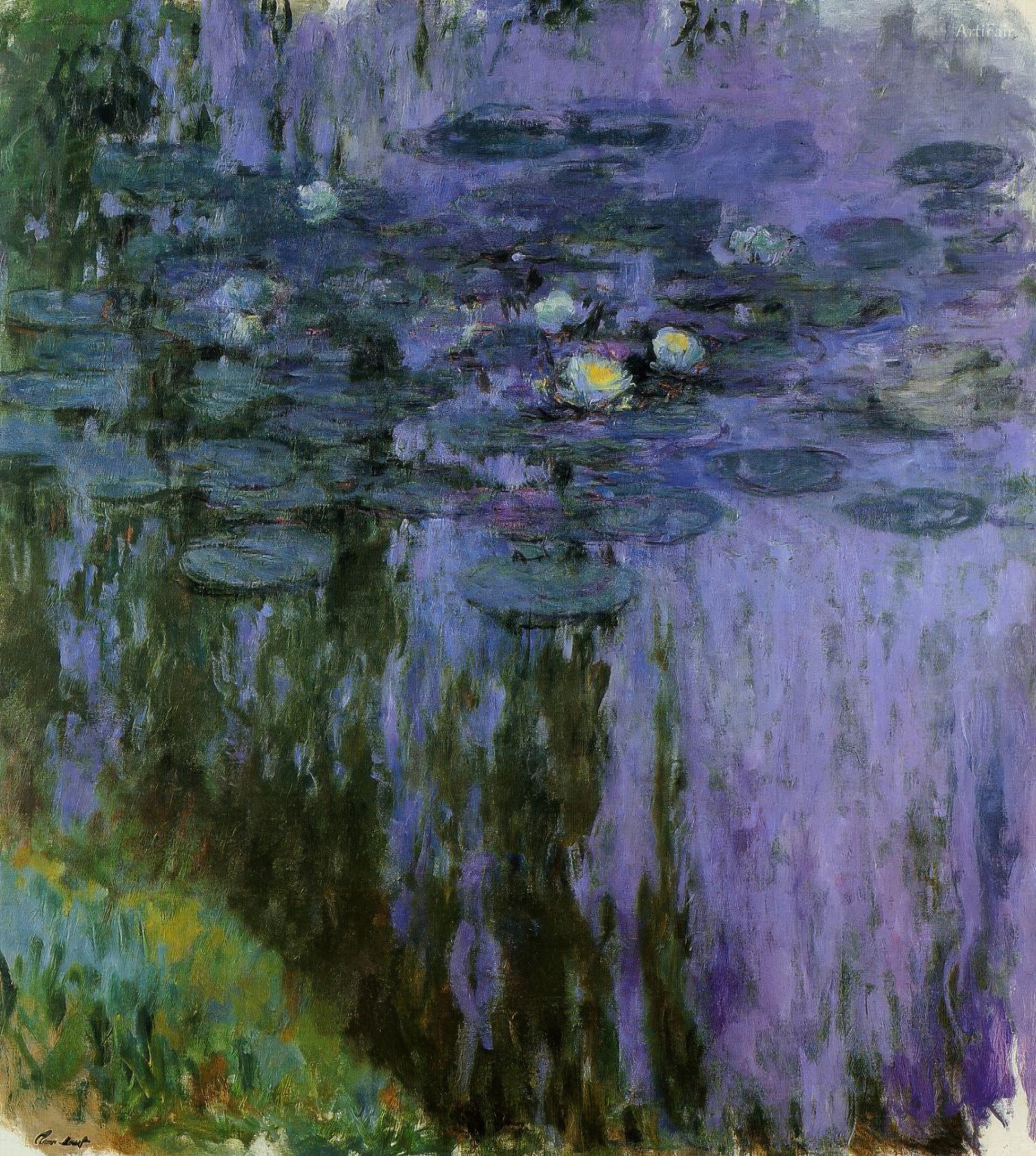 Water Lilies