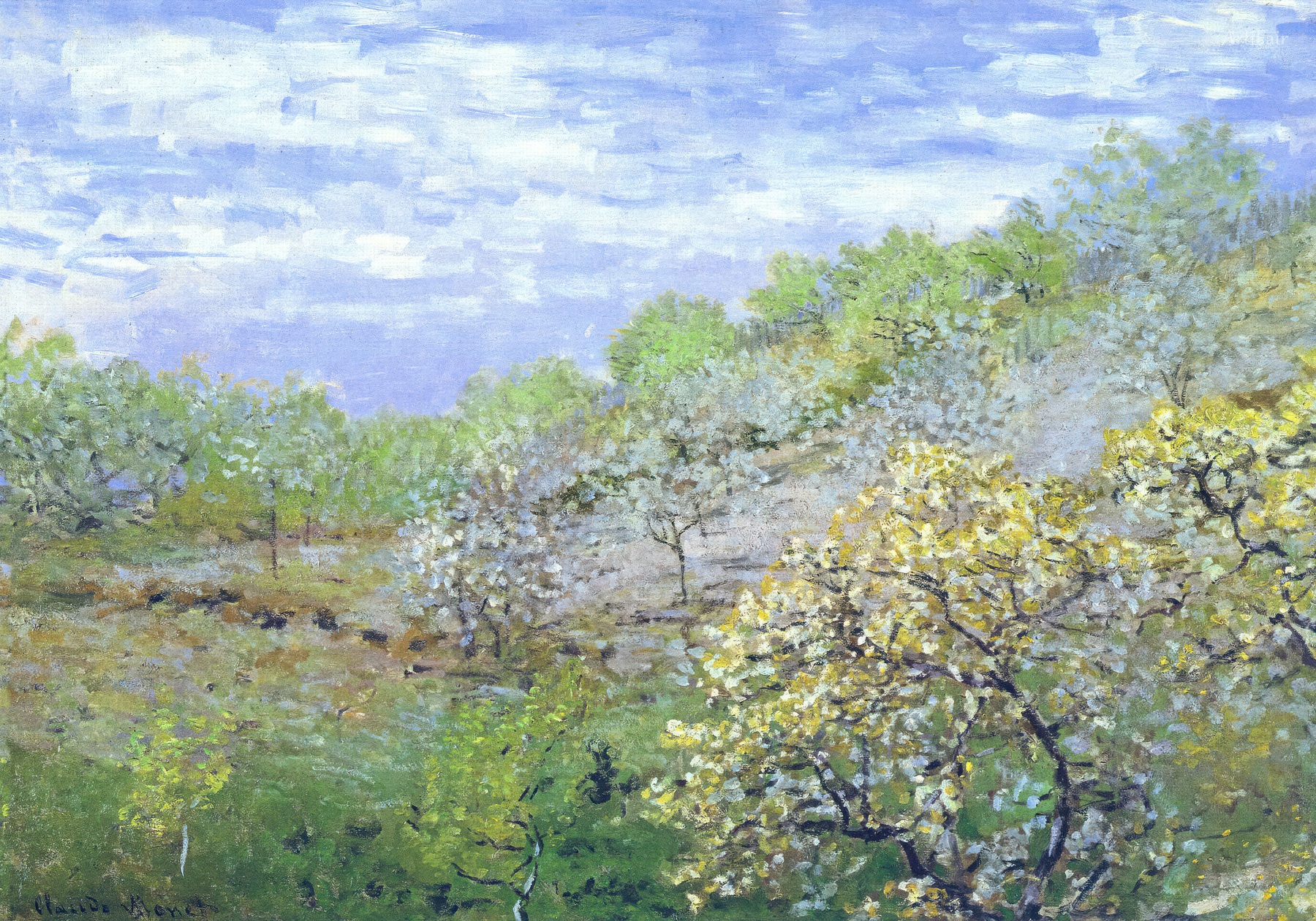 Pommiers en fleurs