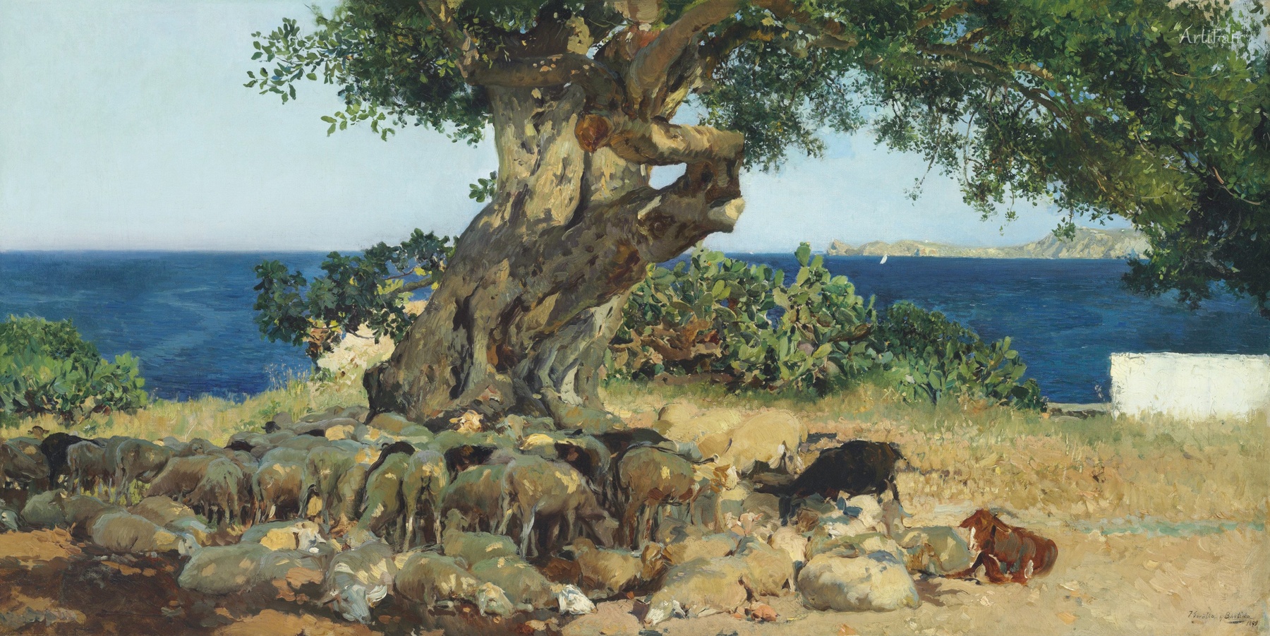 Carob tree