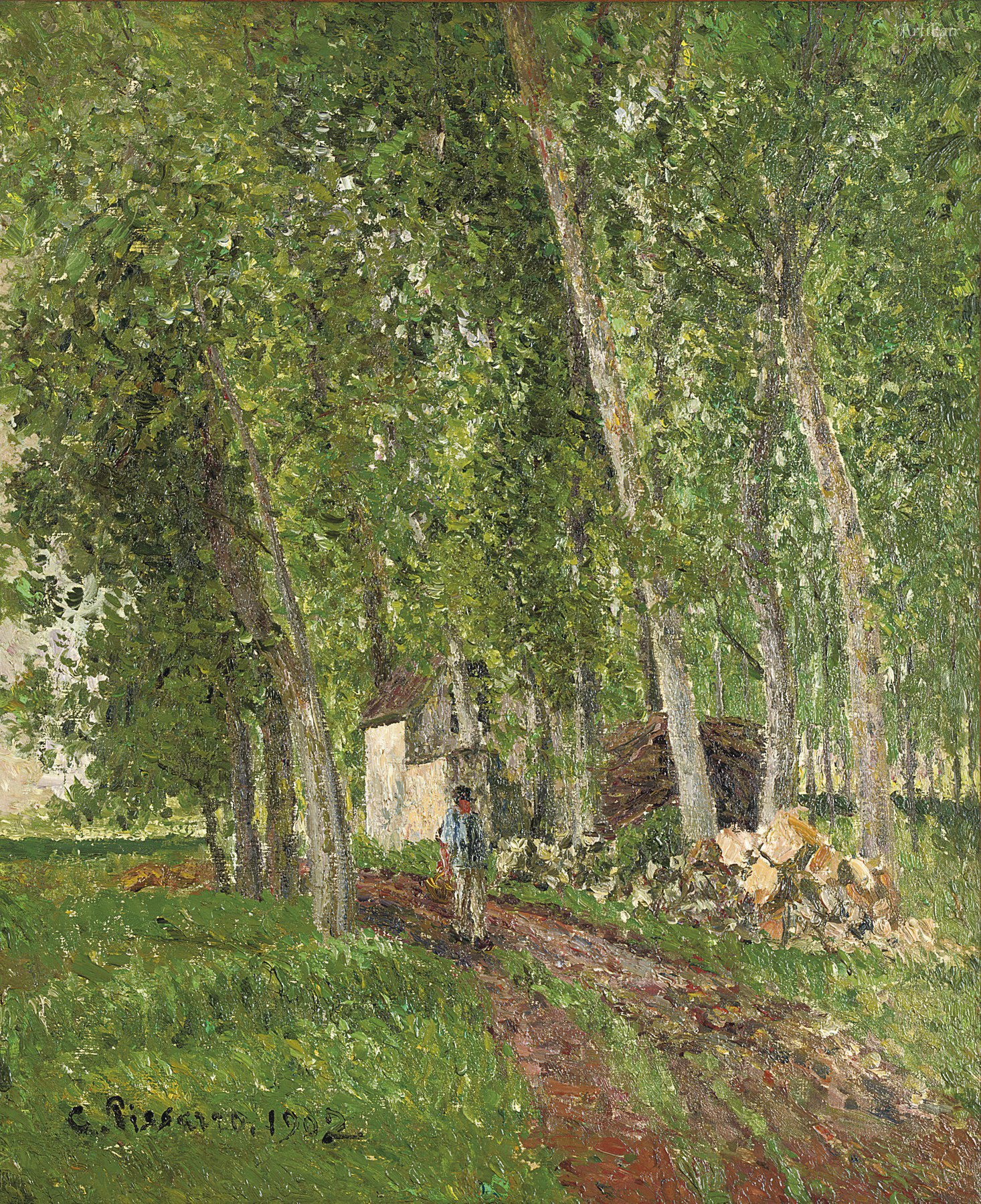 Undergrowth at Moret