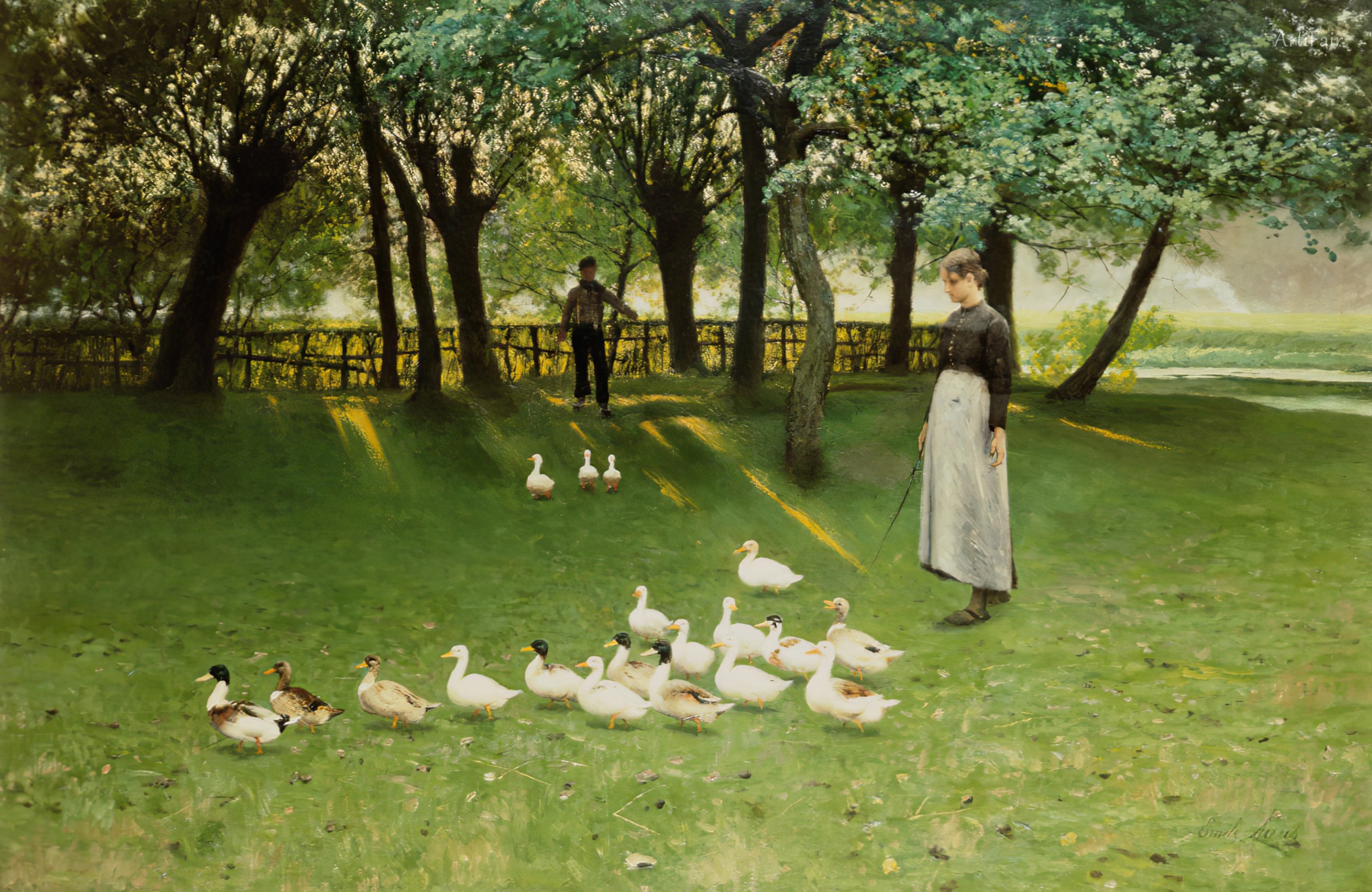 The Duck Girl
