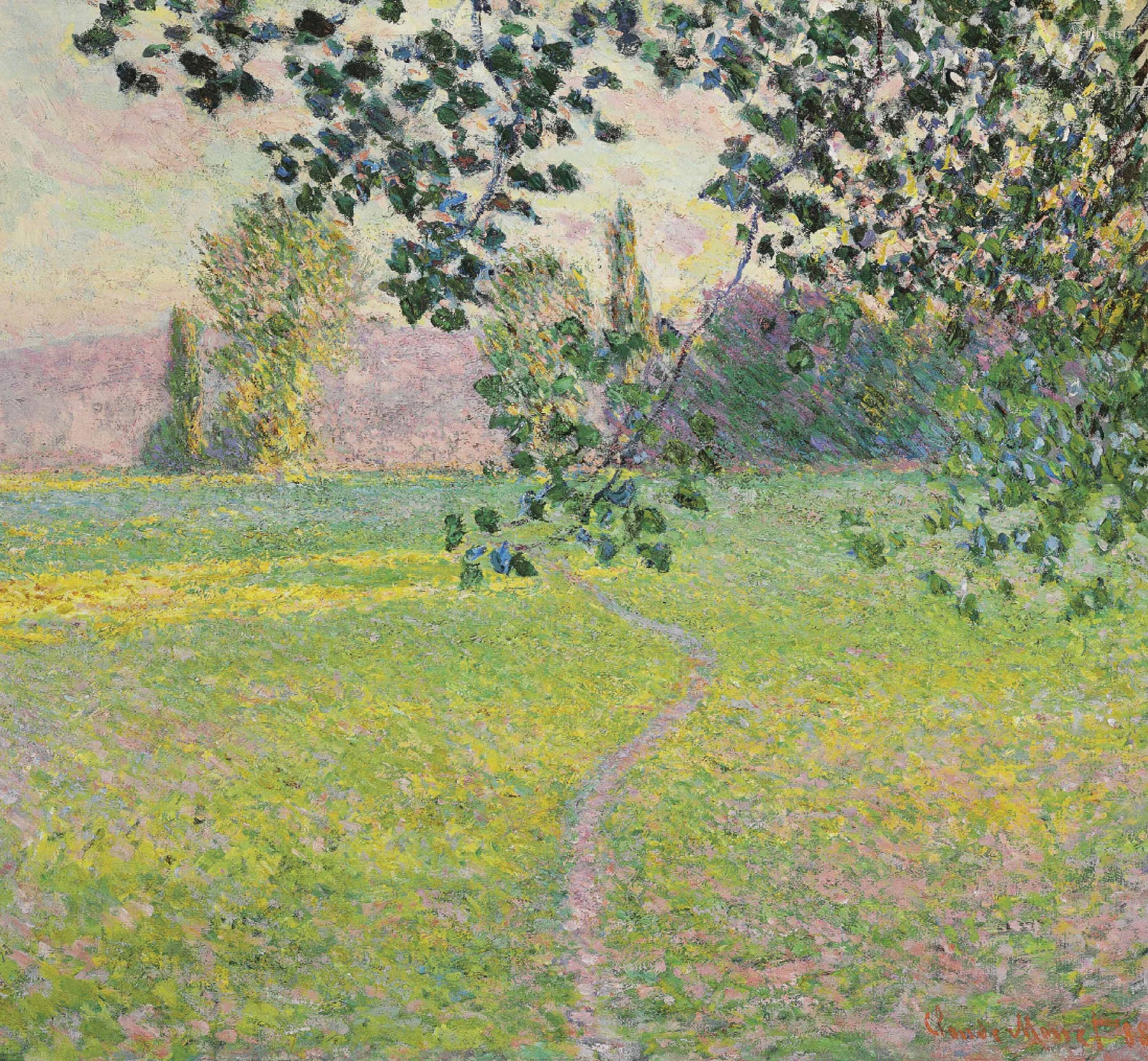 Paysage de matin
