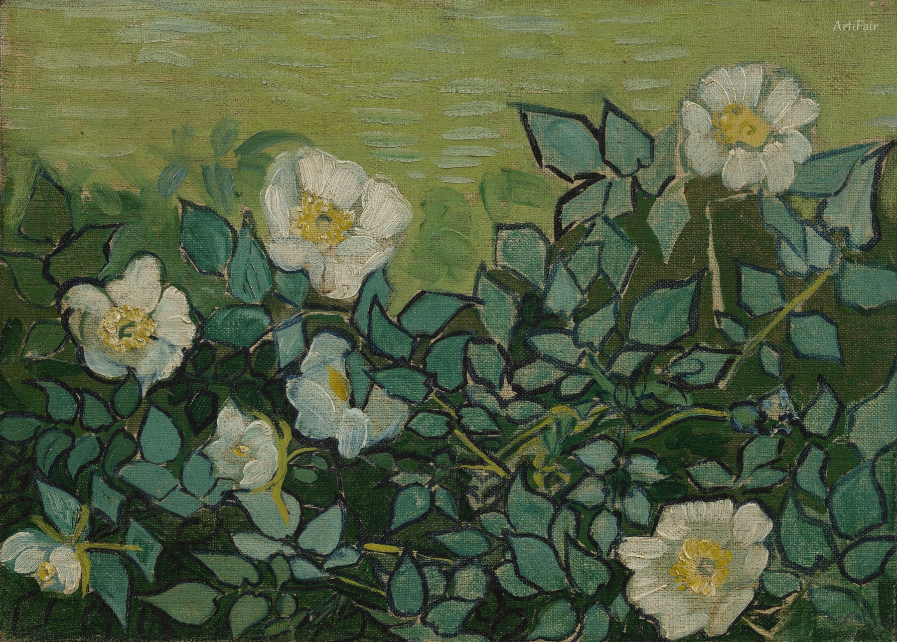 Wild Roses