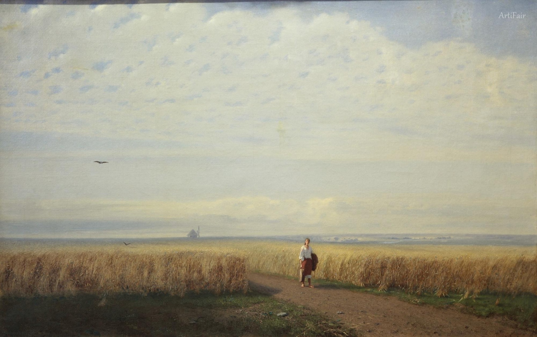 Steppe. Zemědělské pole