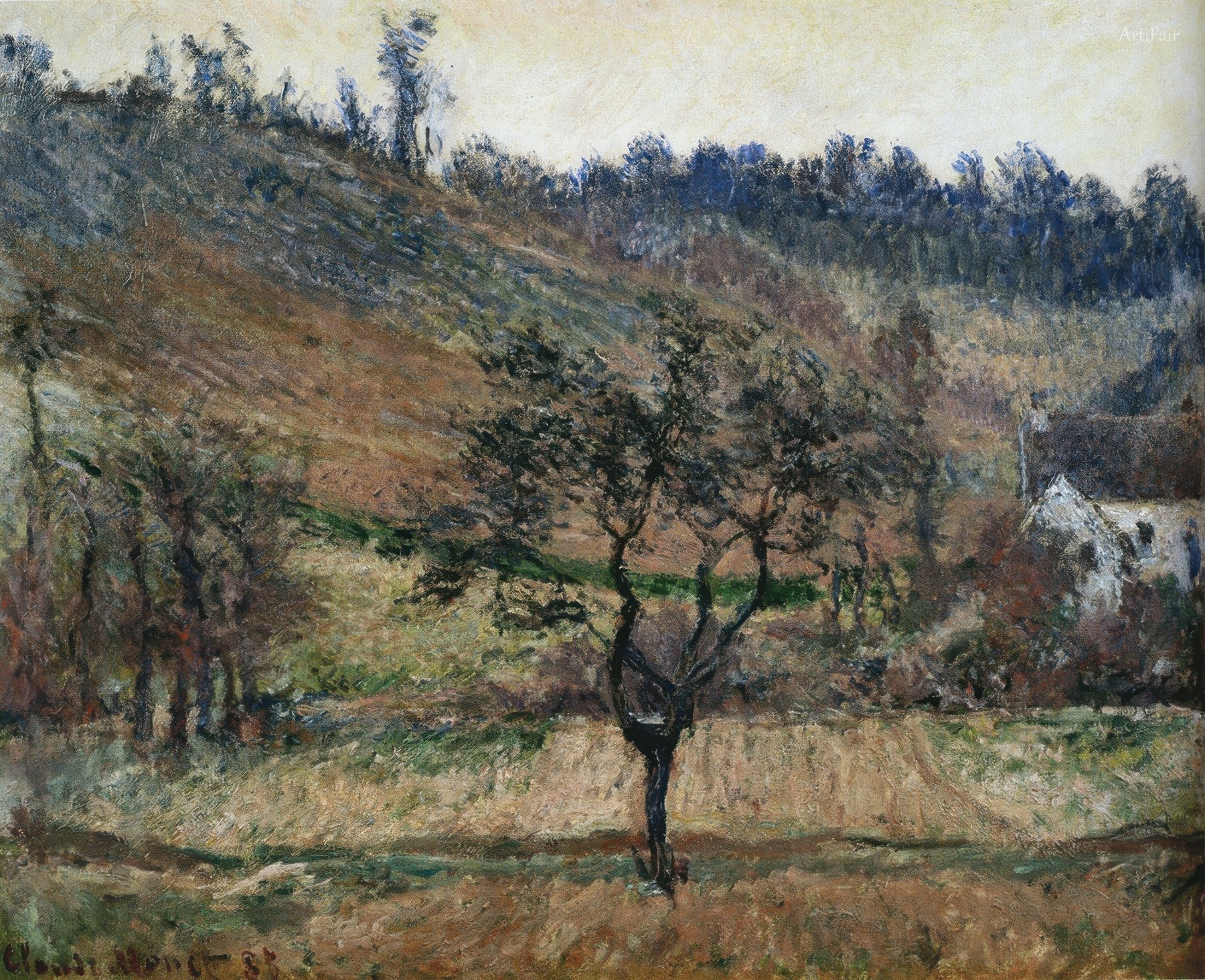 The Valley of Falaise