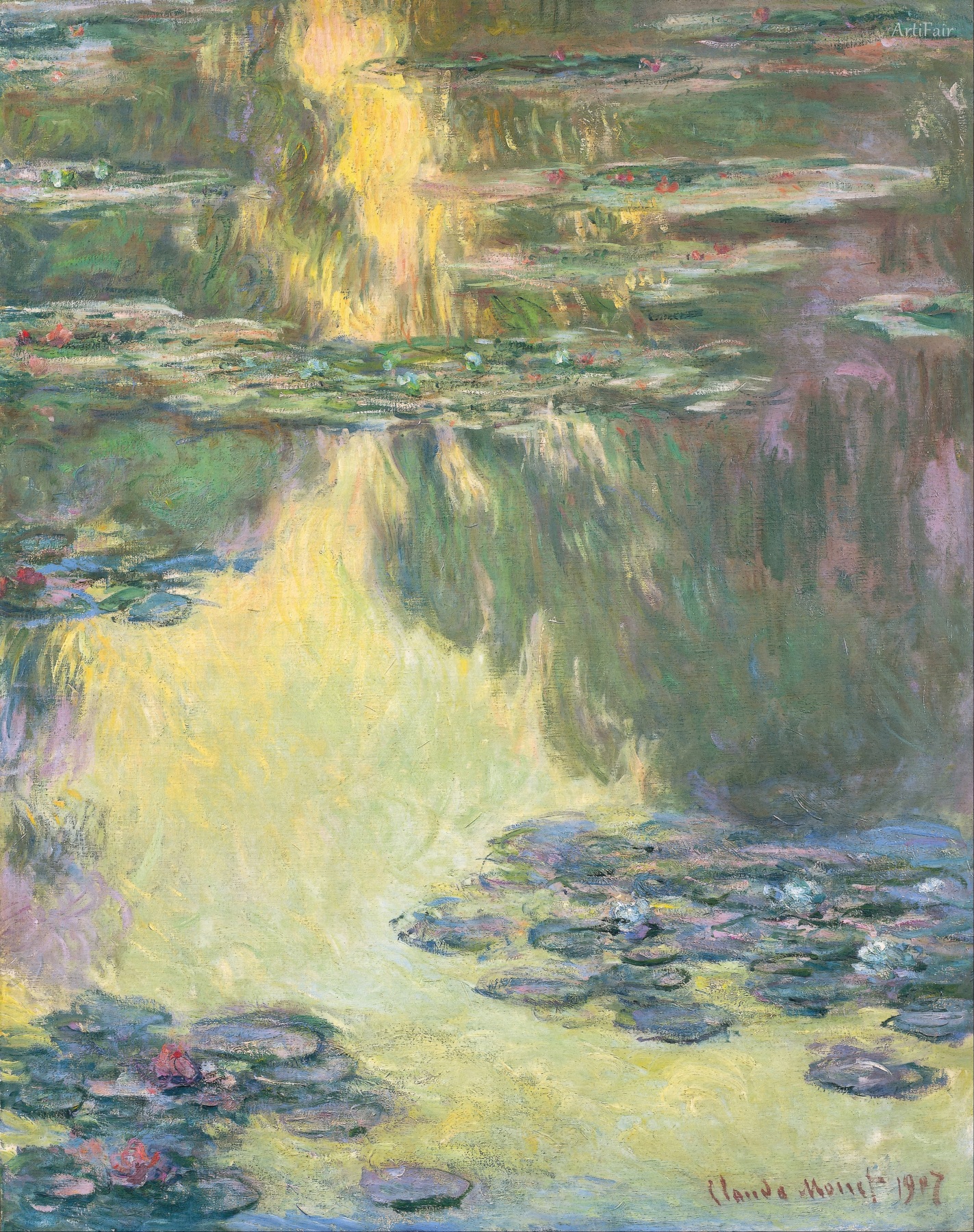 Water Lilies