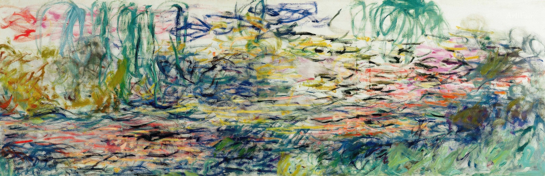 Water lily pond