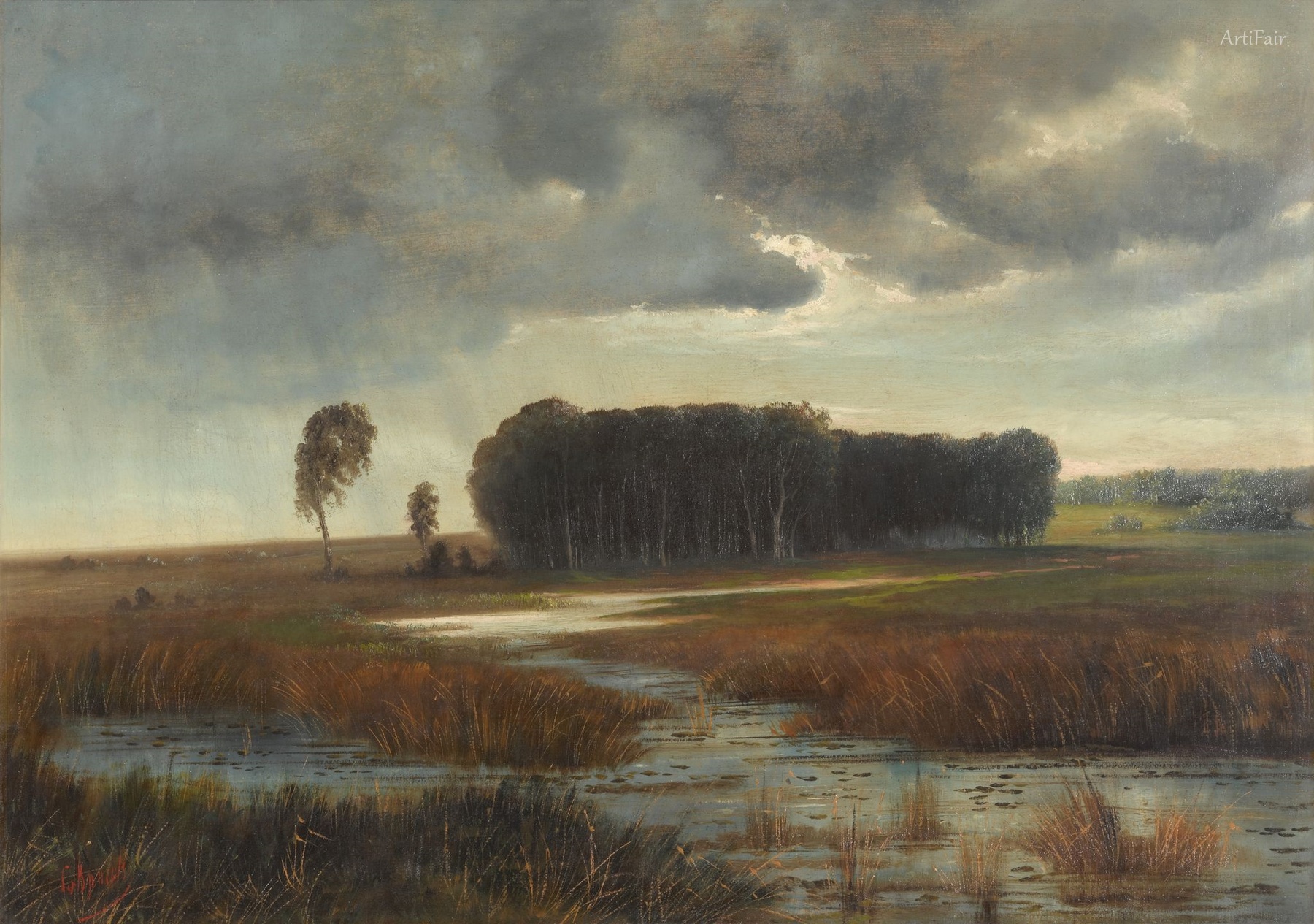 Landscape with Marsh and Forest Island
