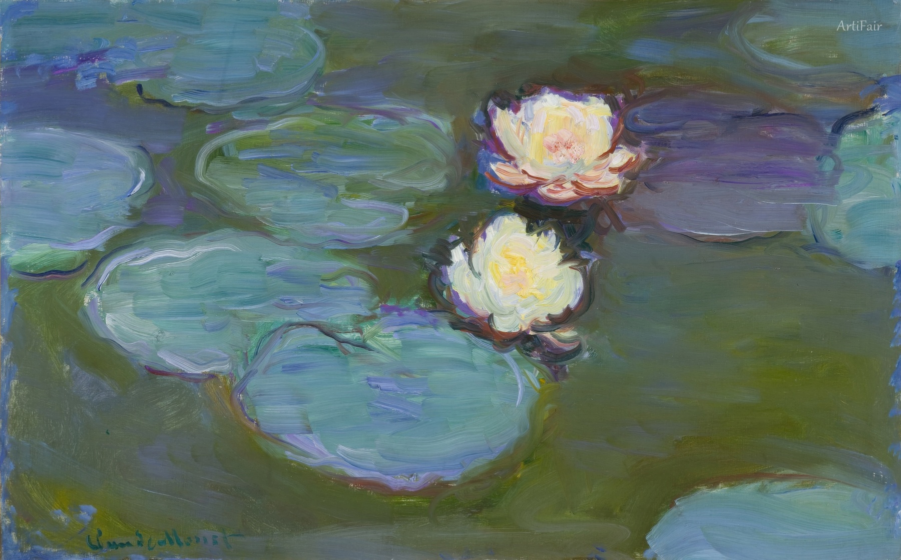 Water Lilies