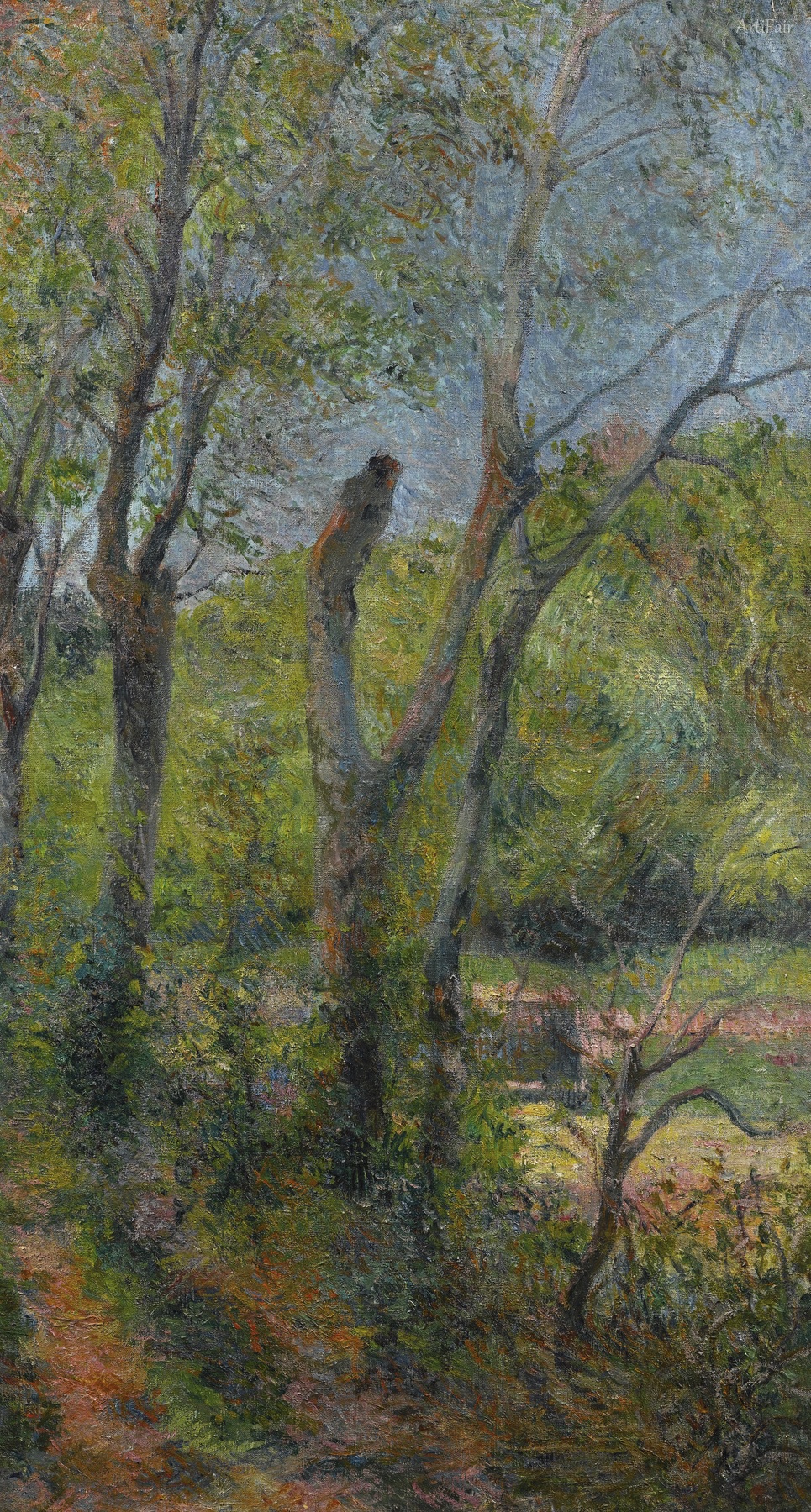 Willows