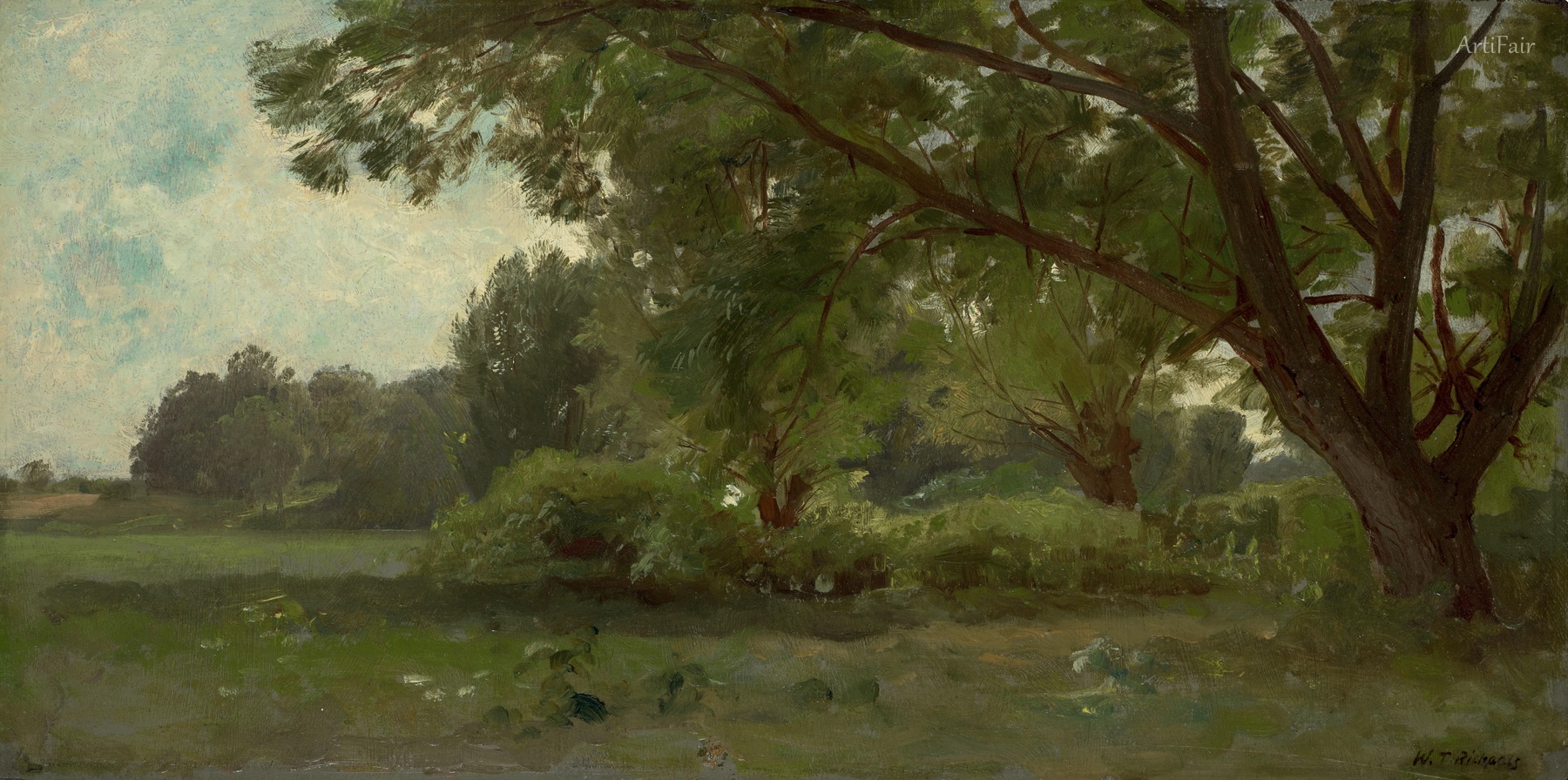 Summer Landscape