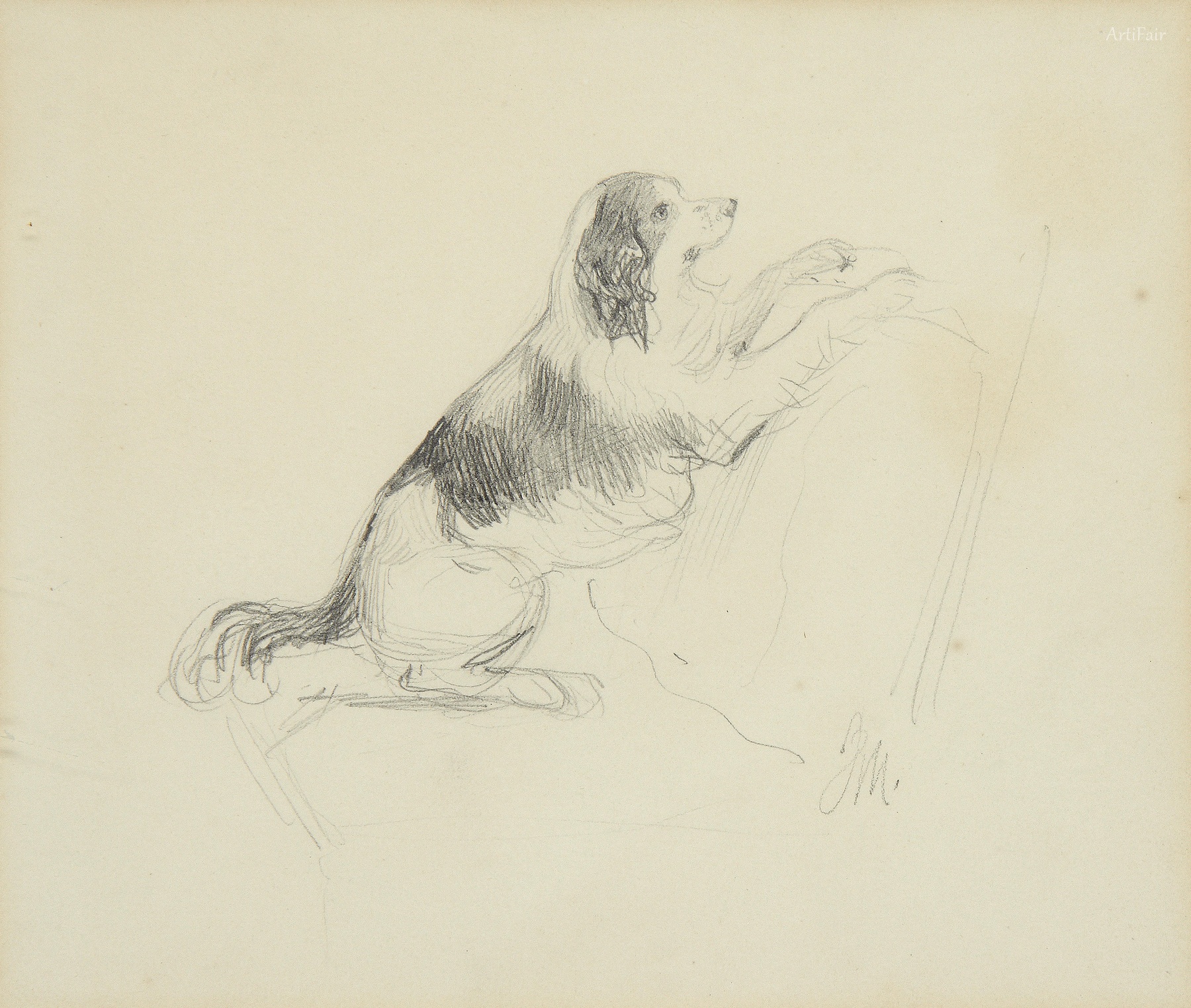 Study of a dog