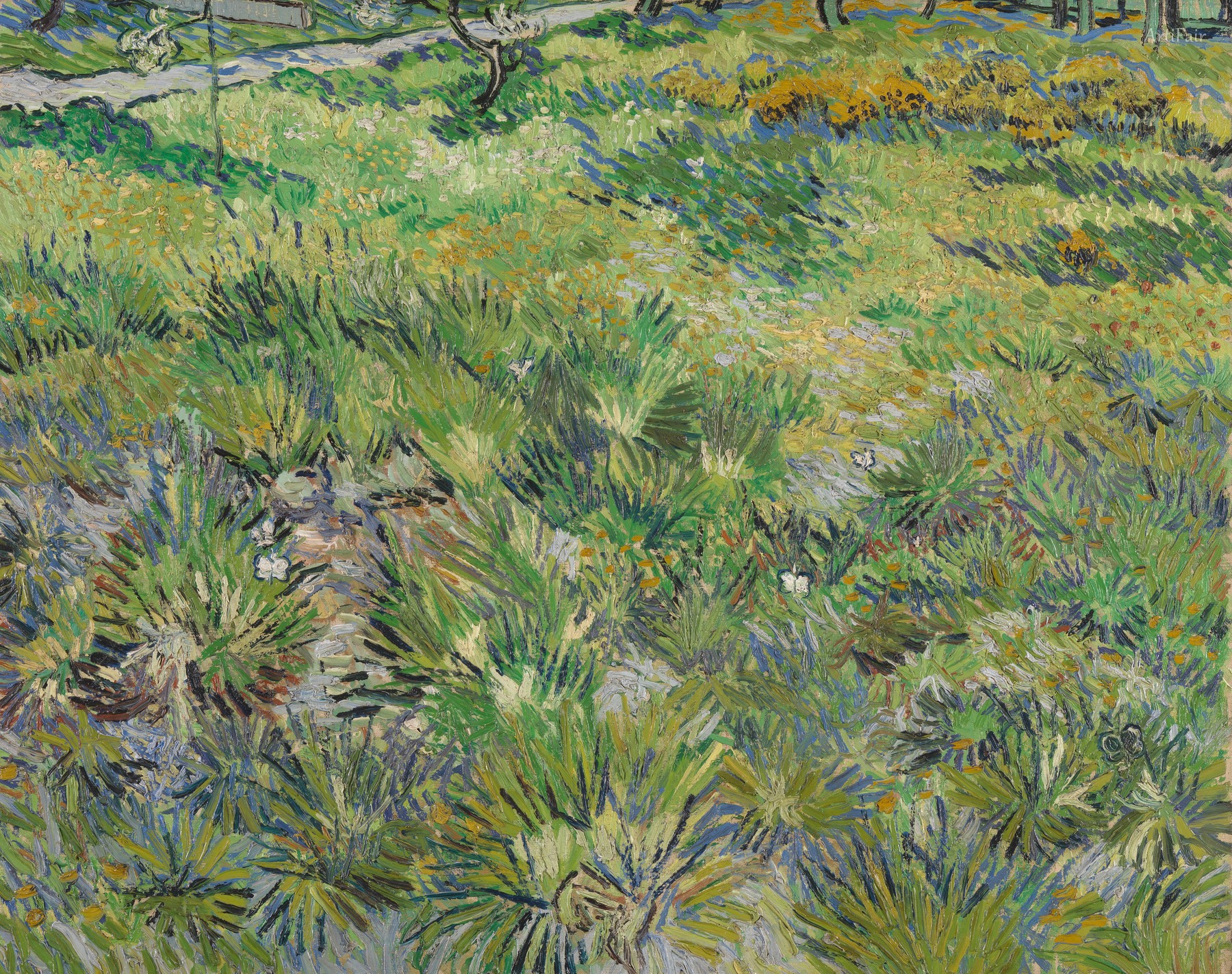 Long Grass with Butterflies