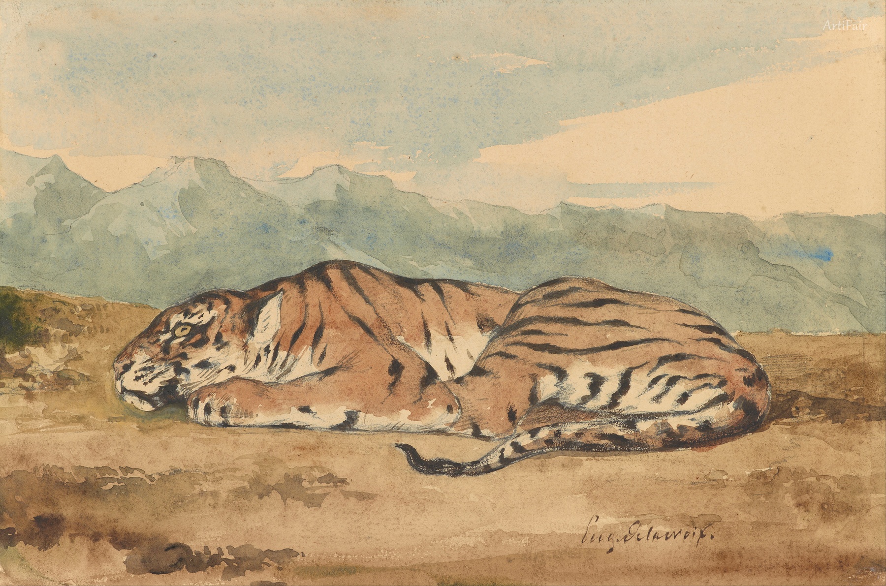 Royal Tiger