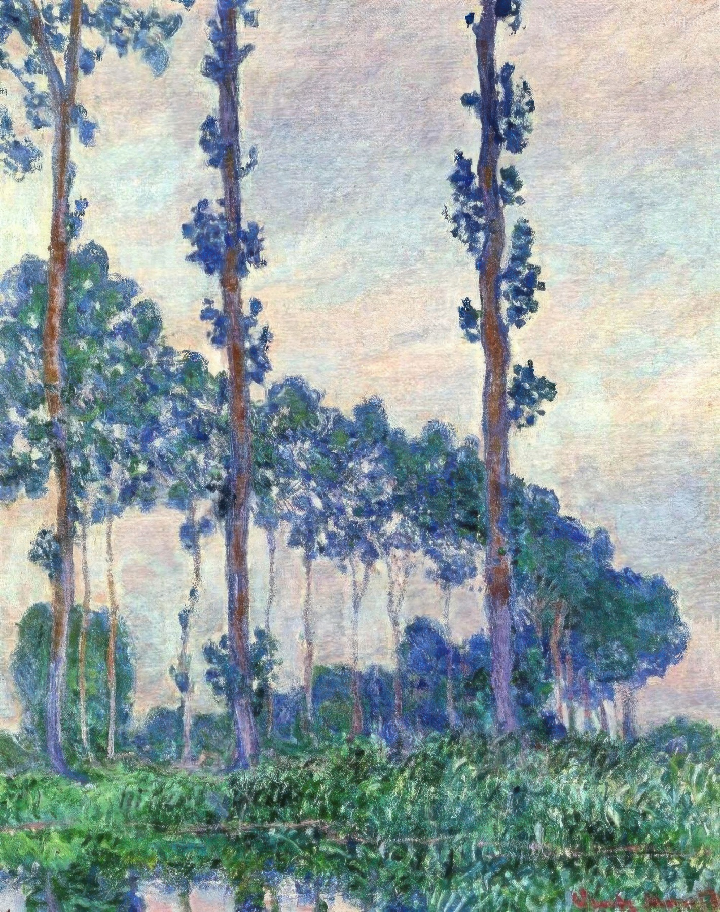 Three Trees in Grey Weather