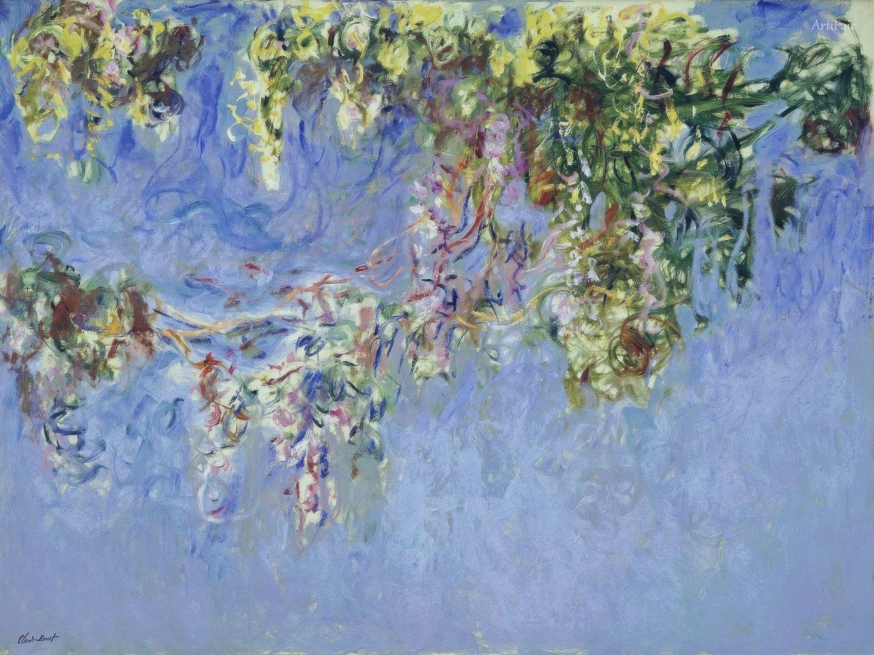 Wisteria