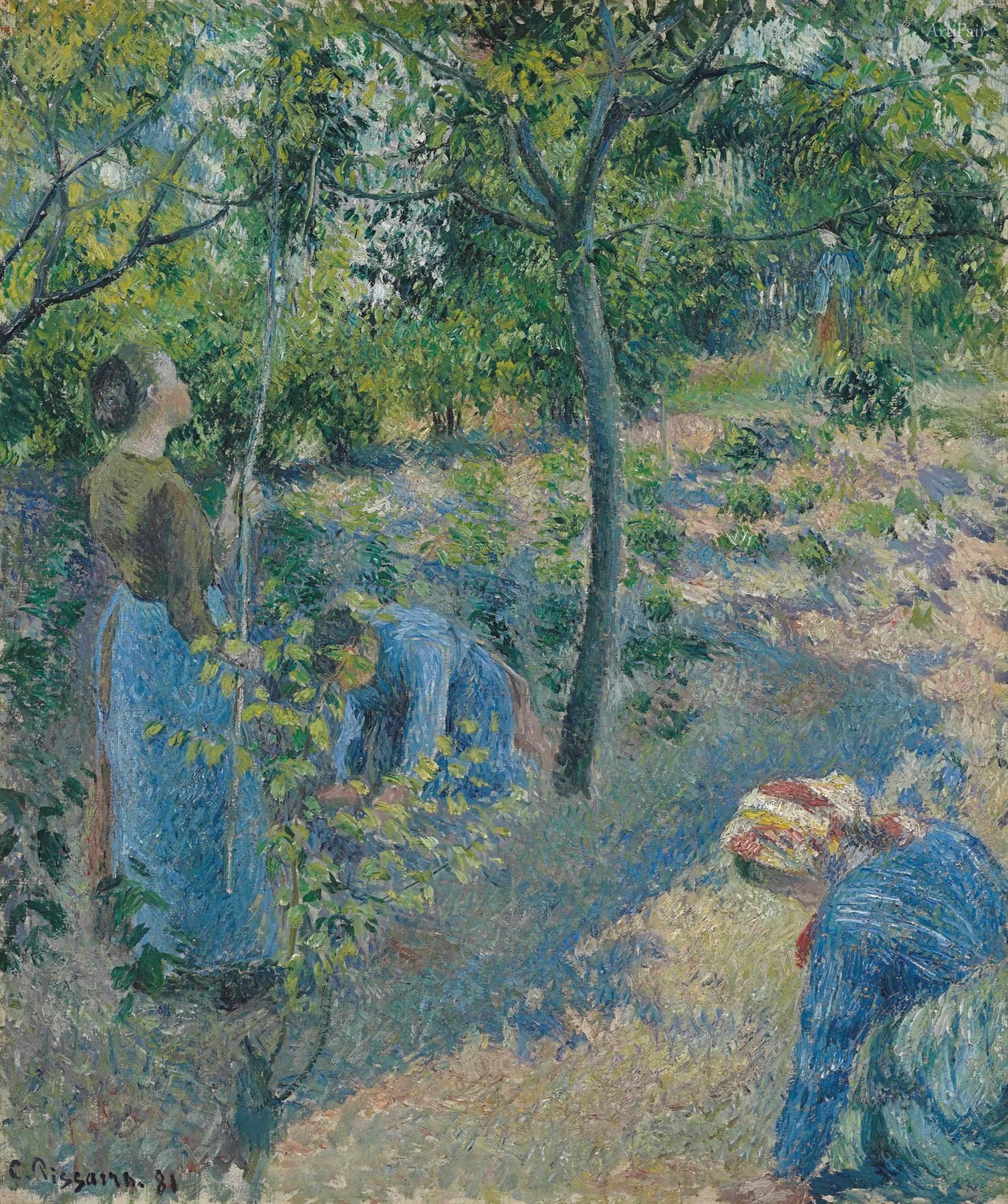 The Apple Harvest