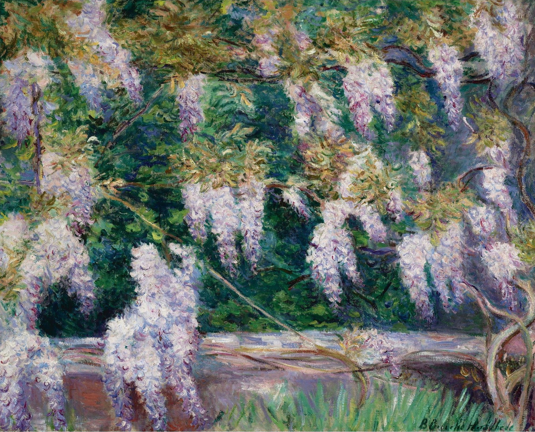 Glicini a Giverny