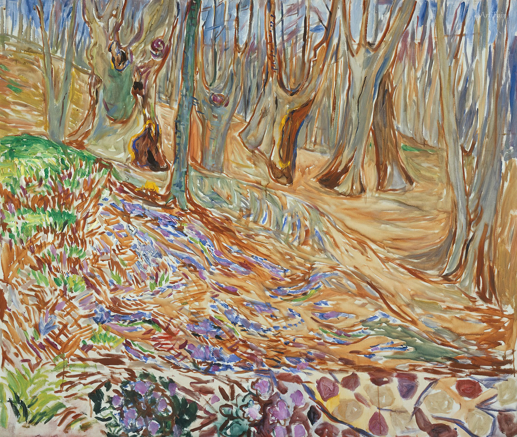 Elm Forest in Spring