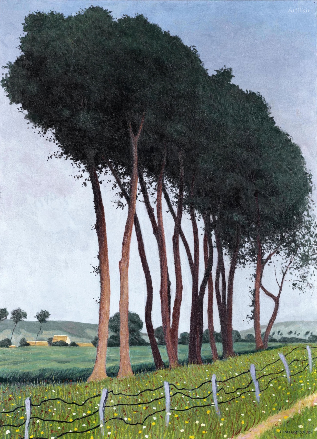 Family of Trees