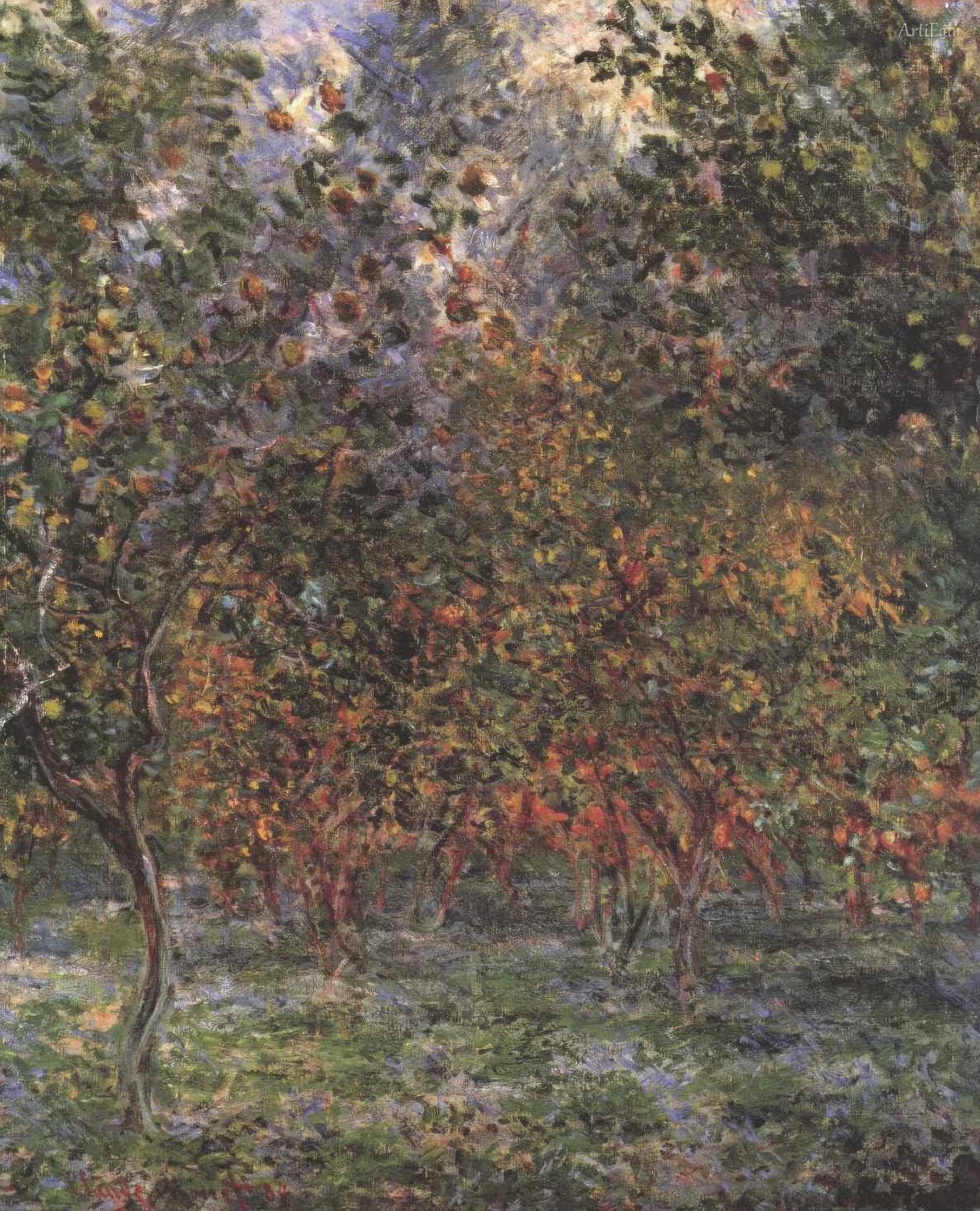 Under the Lemon Trees