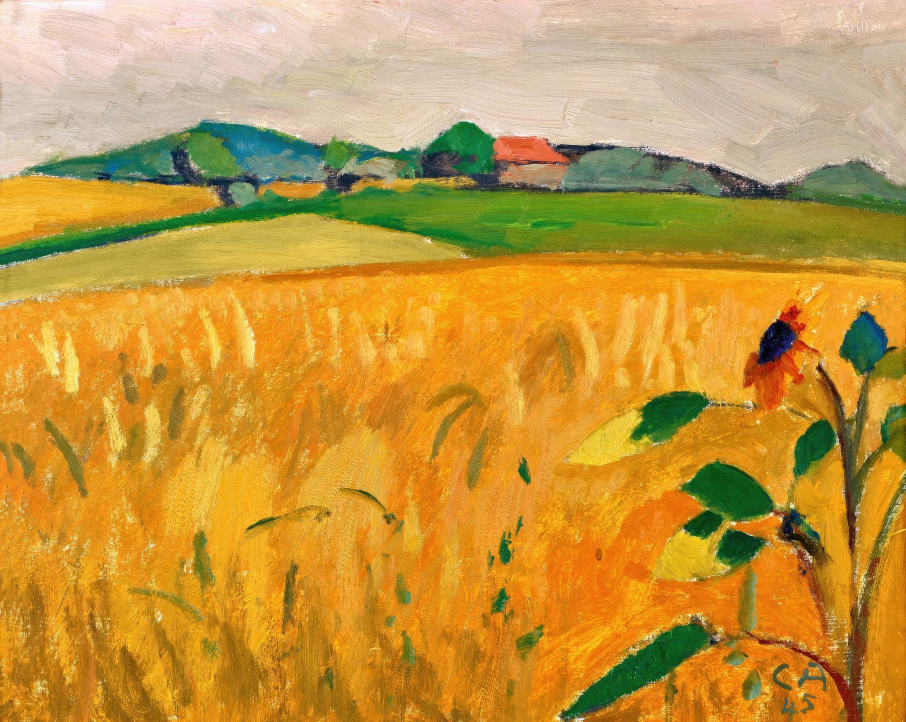 Letní Krajina