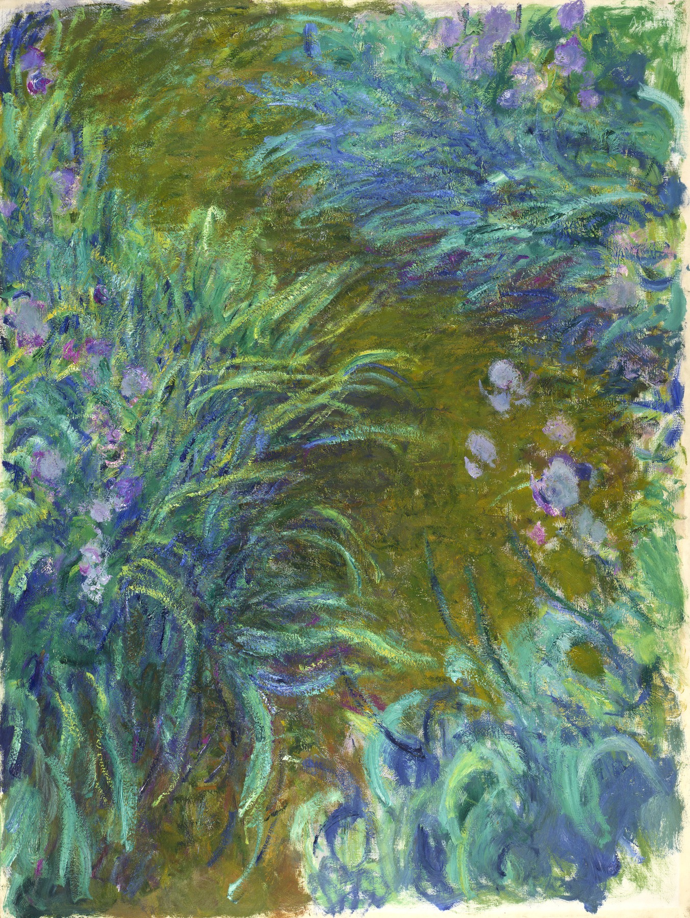 Path through the Irises
