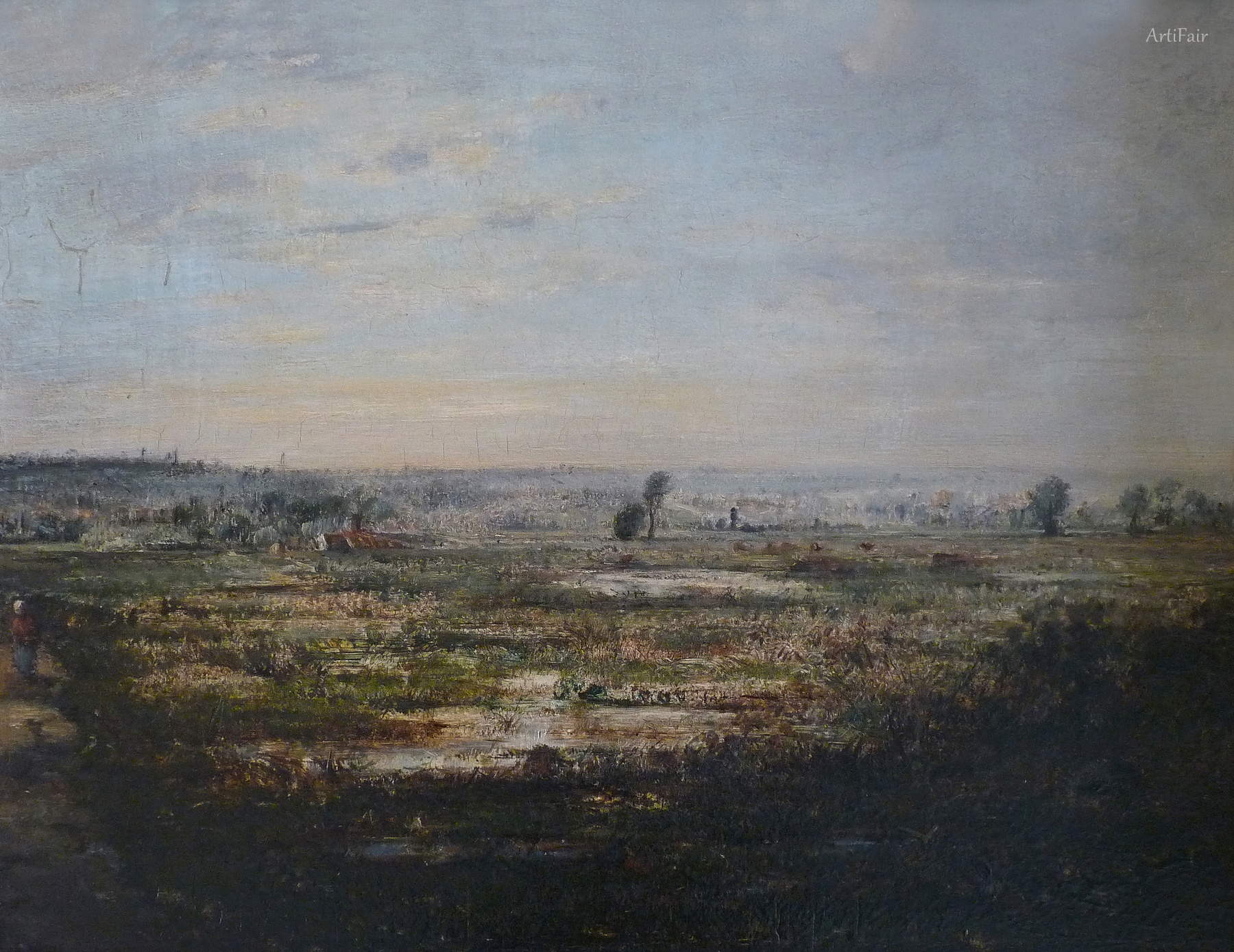 The Marsh 1867