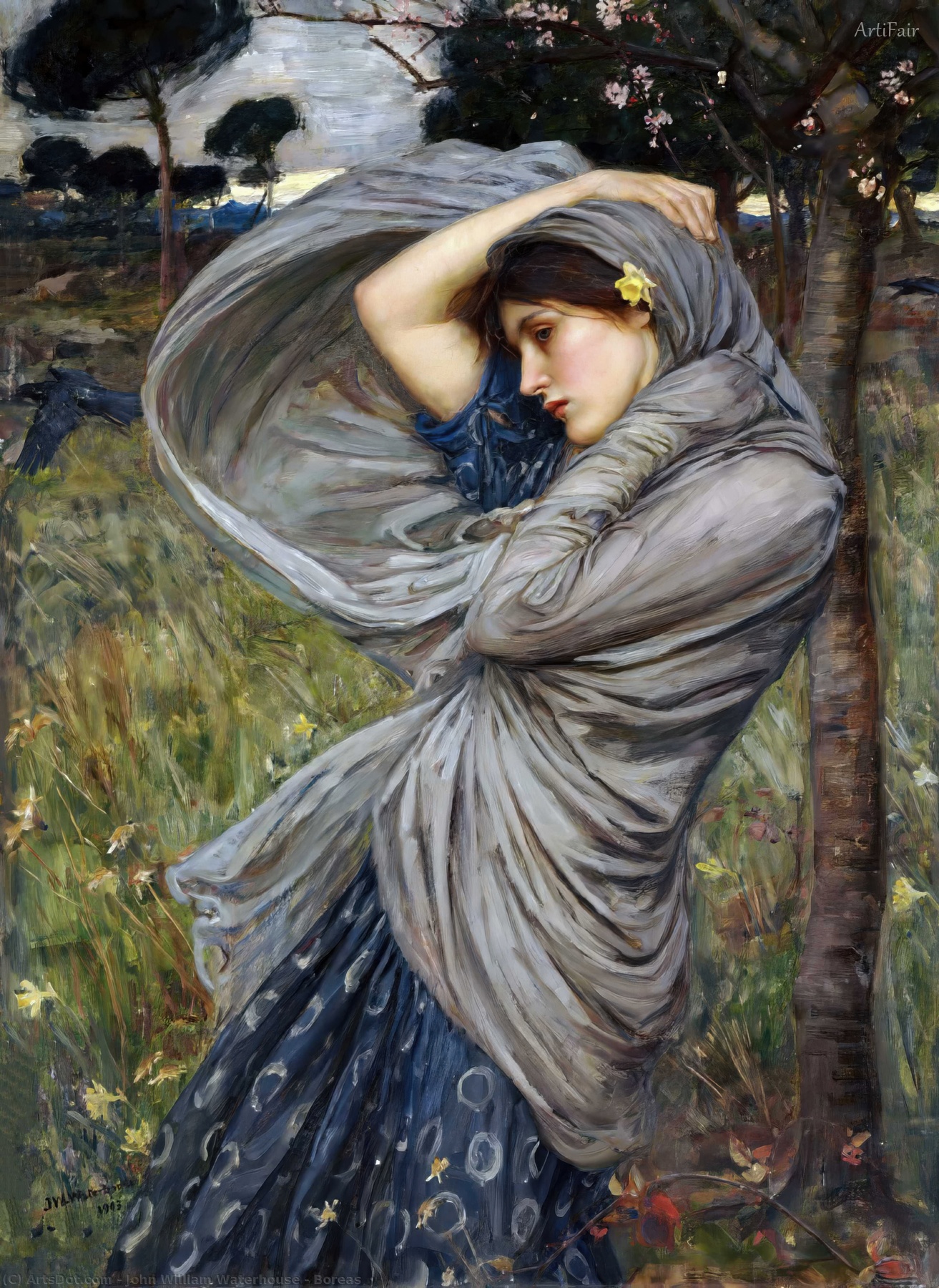 Boreas