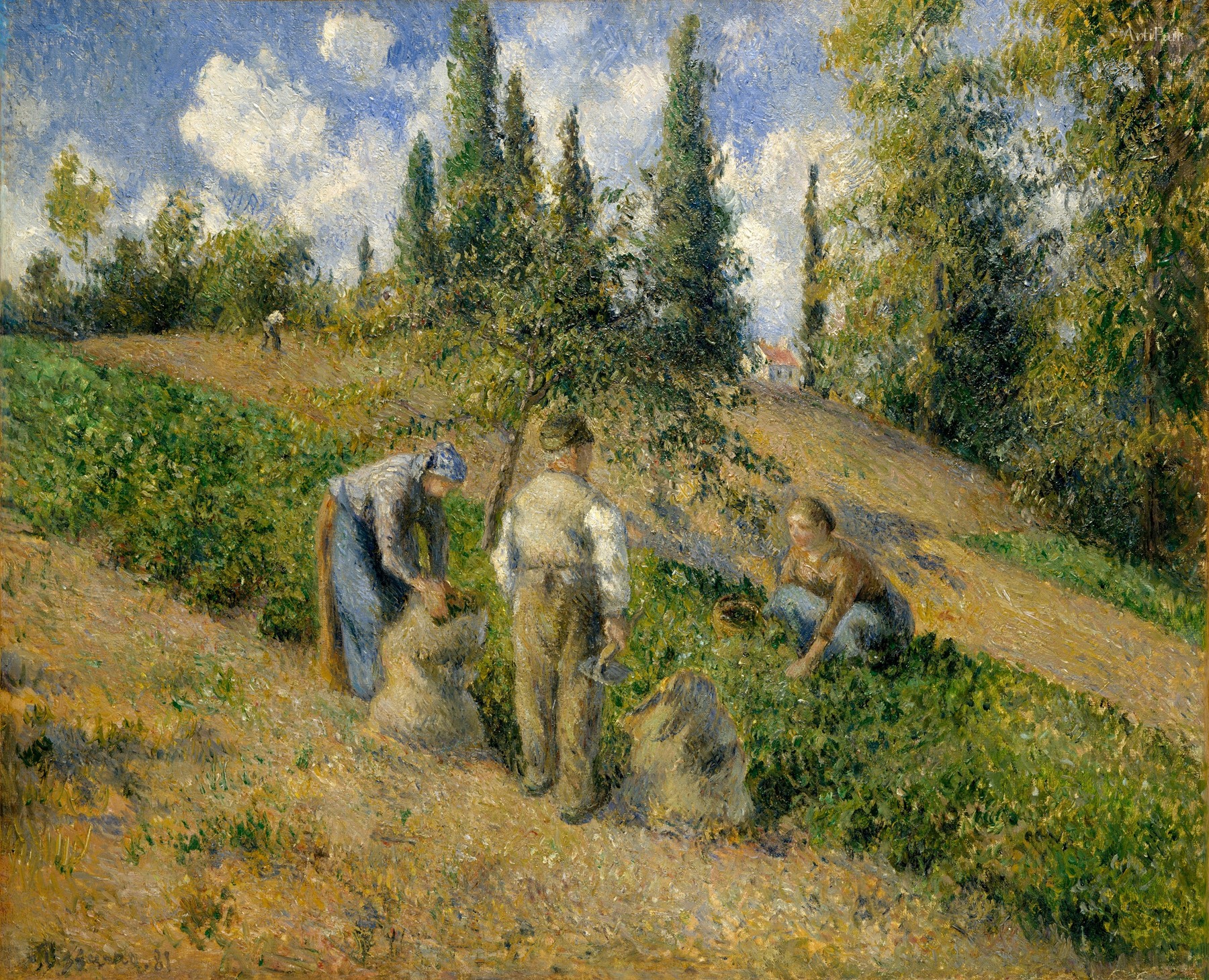 The Harvest, Pontoise