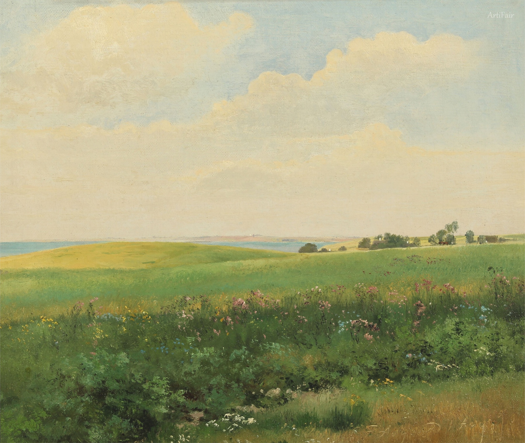 Paesaggio estivo con campi ondulati